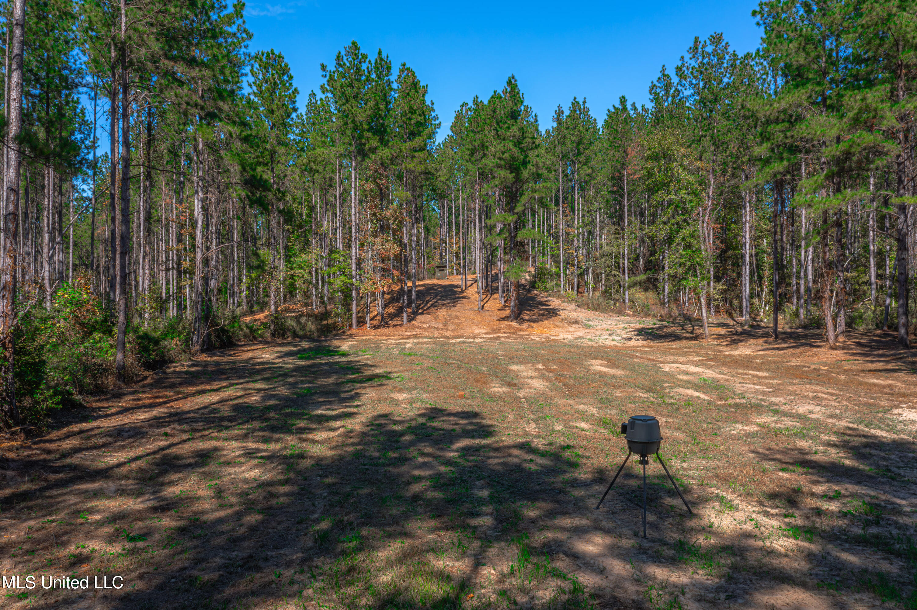 721 Permenter Road, Carthage, Mississippi image 41