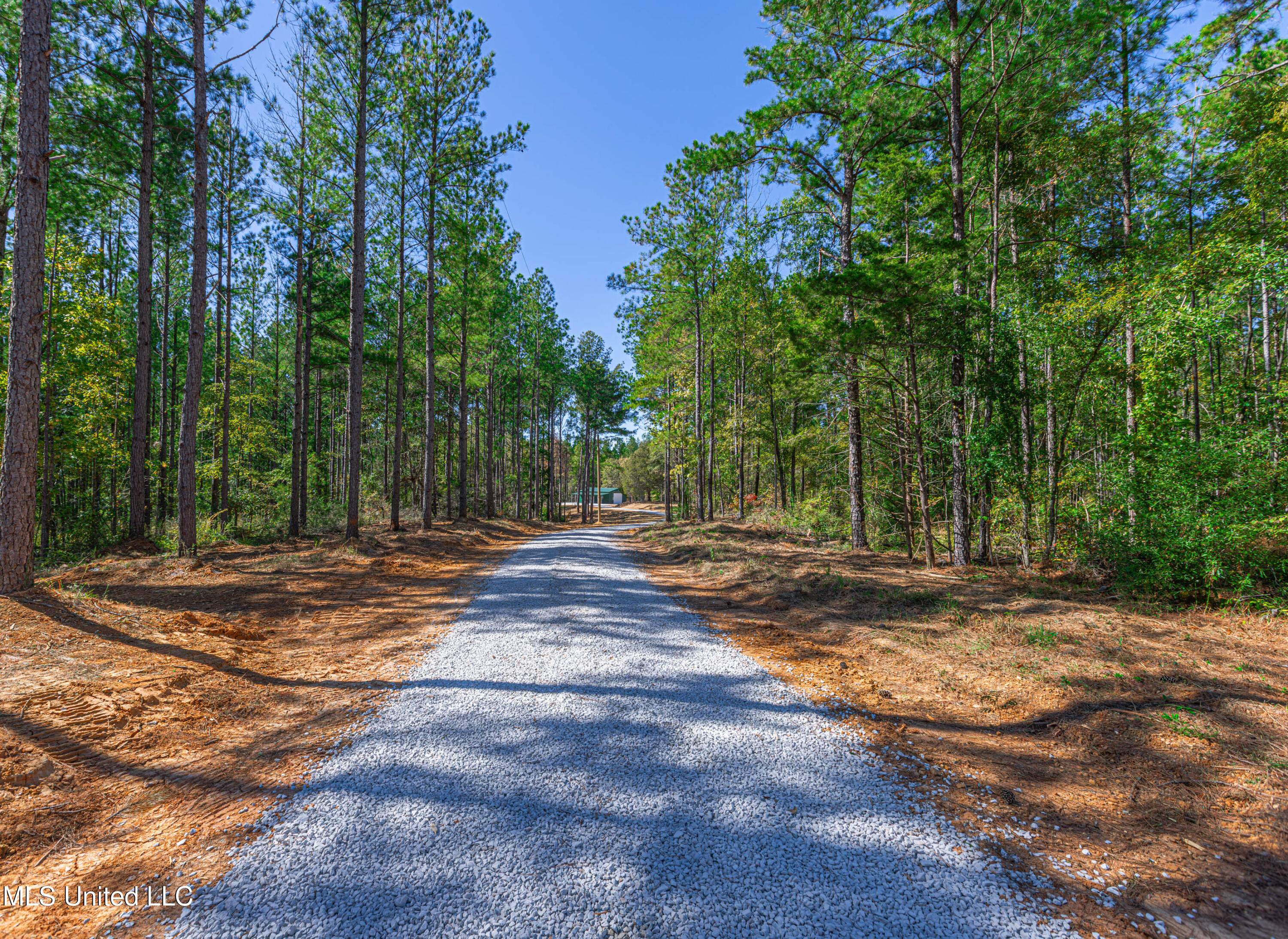 721 Permenter Road, Carthage, Mississippi image 12