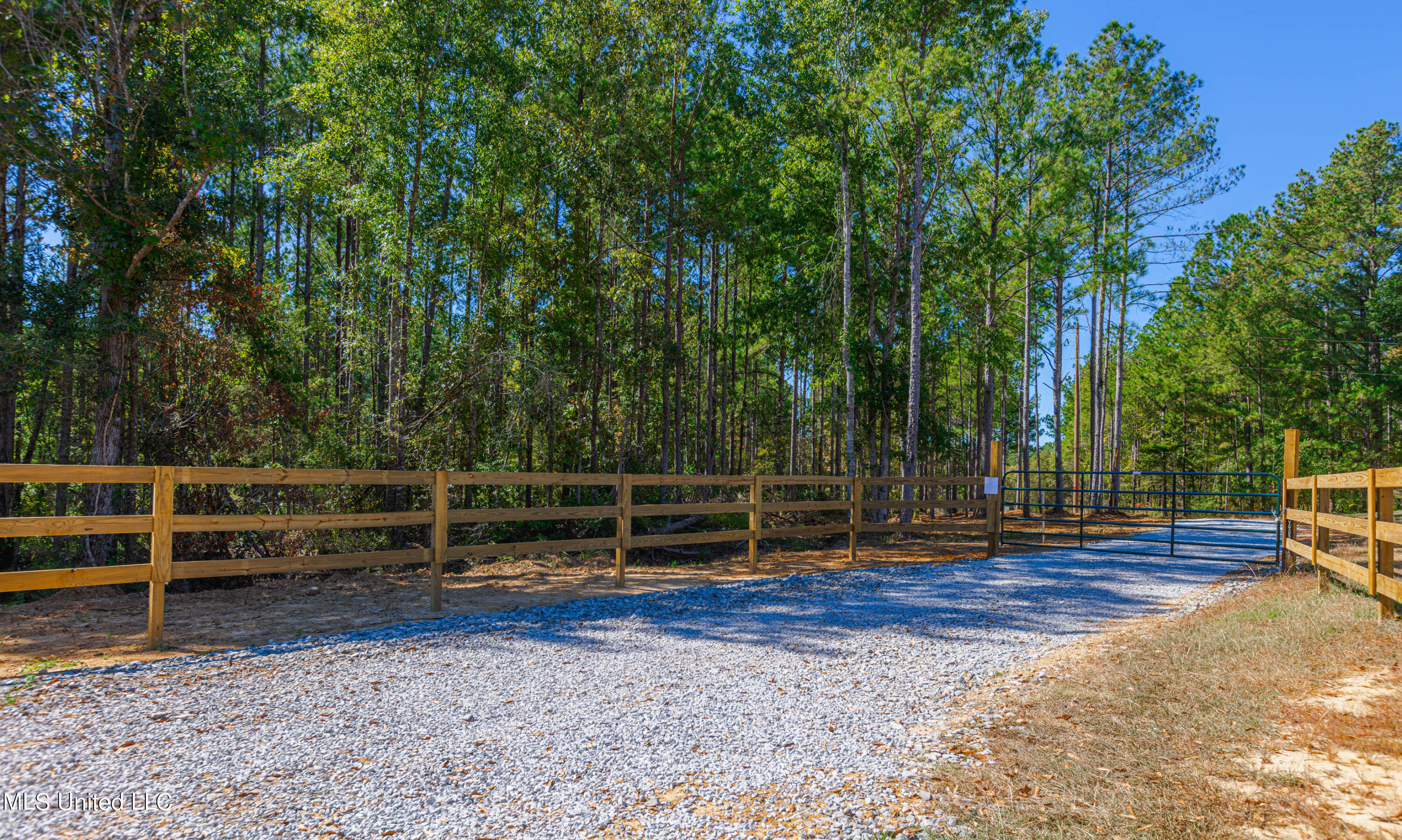 721 Permenter Road, Carthage, Mississippi image 8