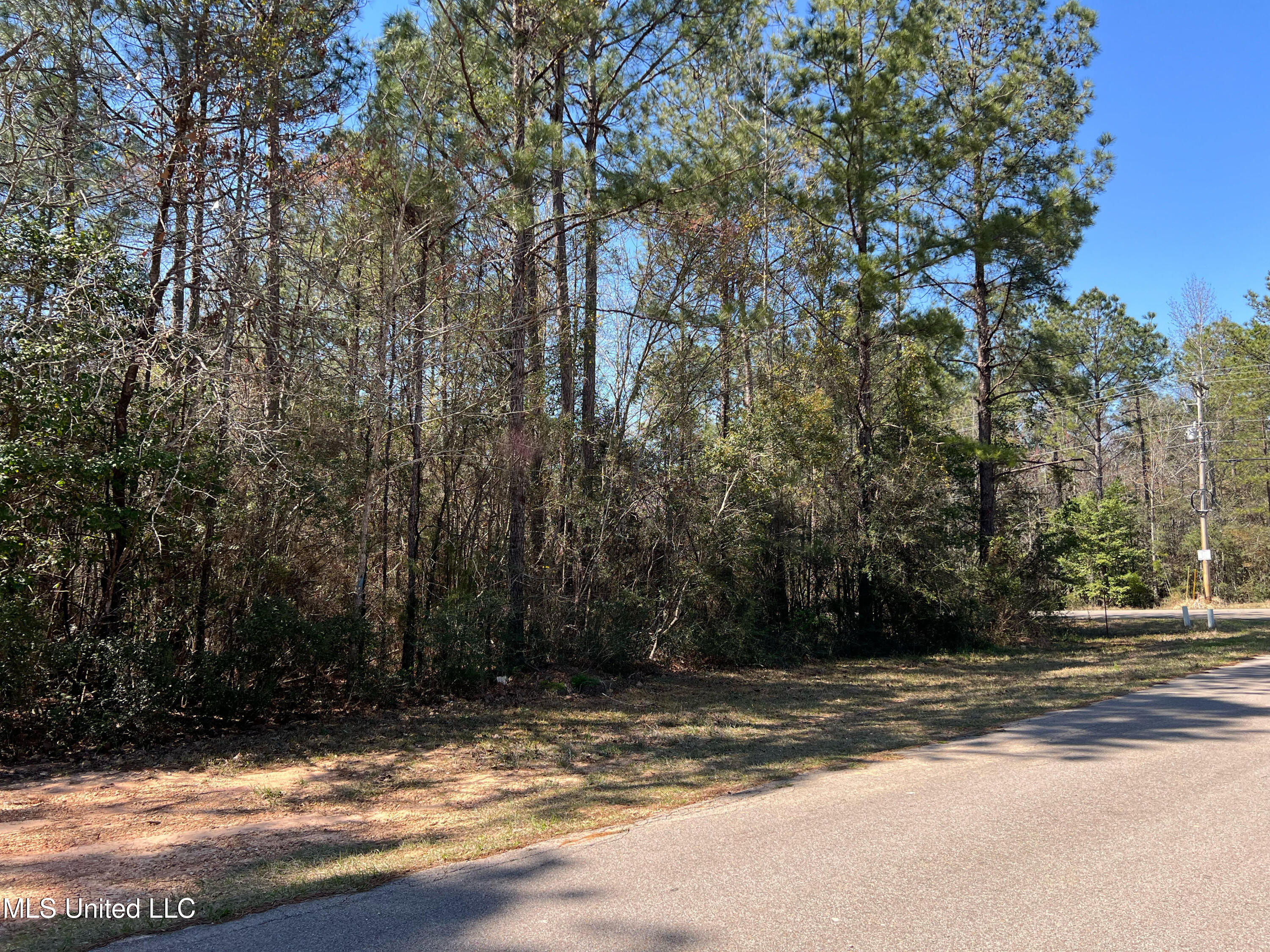 Lot 1 Flyntstone, Petal, Mississippi image 5