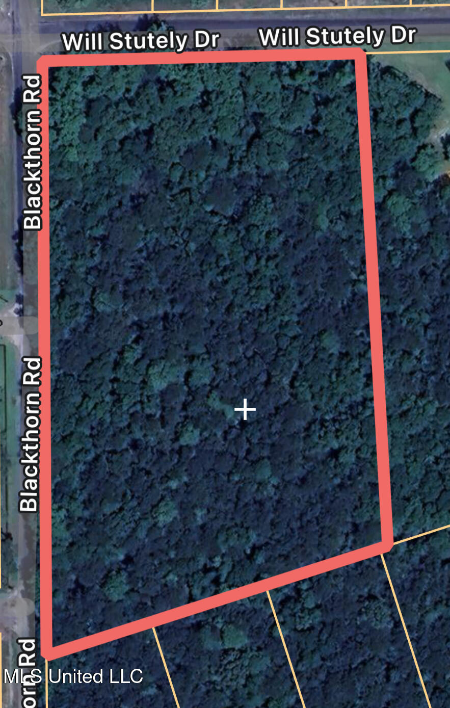Corner Blackthorn/will Stutely, Brandon, Mississippi image 1