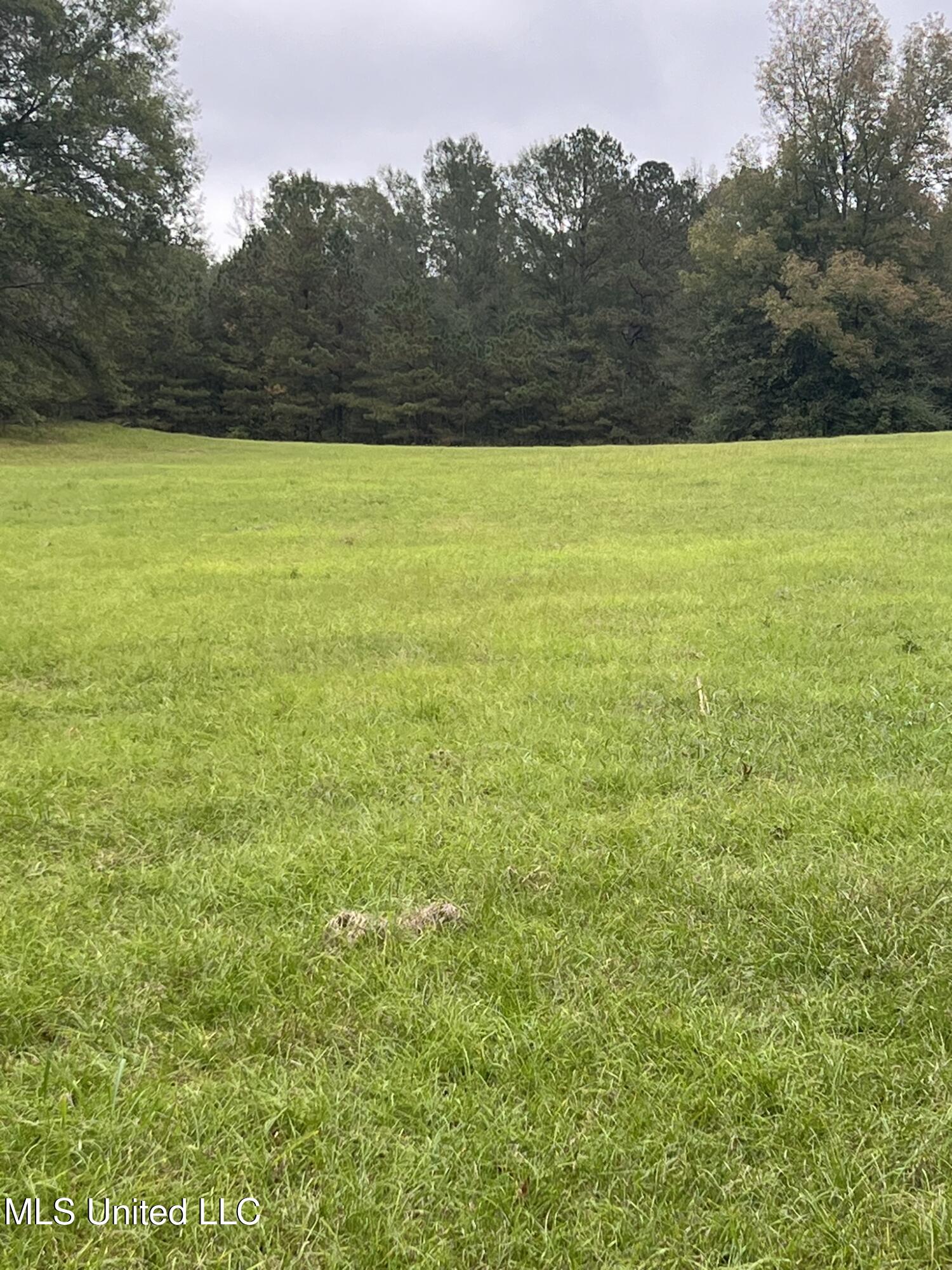 Old Jackson Road Road, Forest, Mississippi image 8