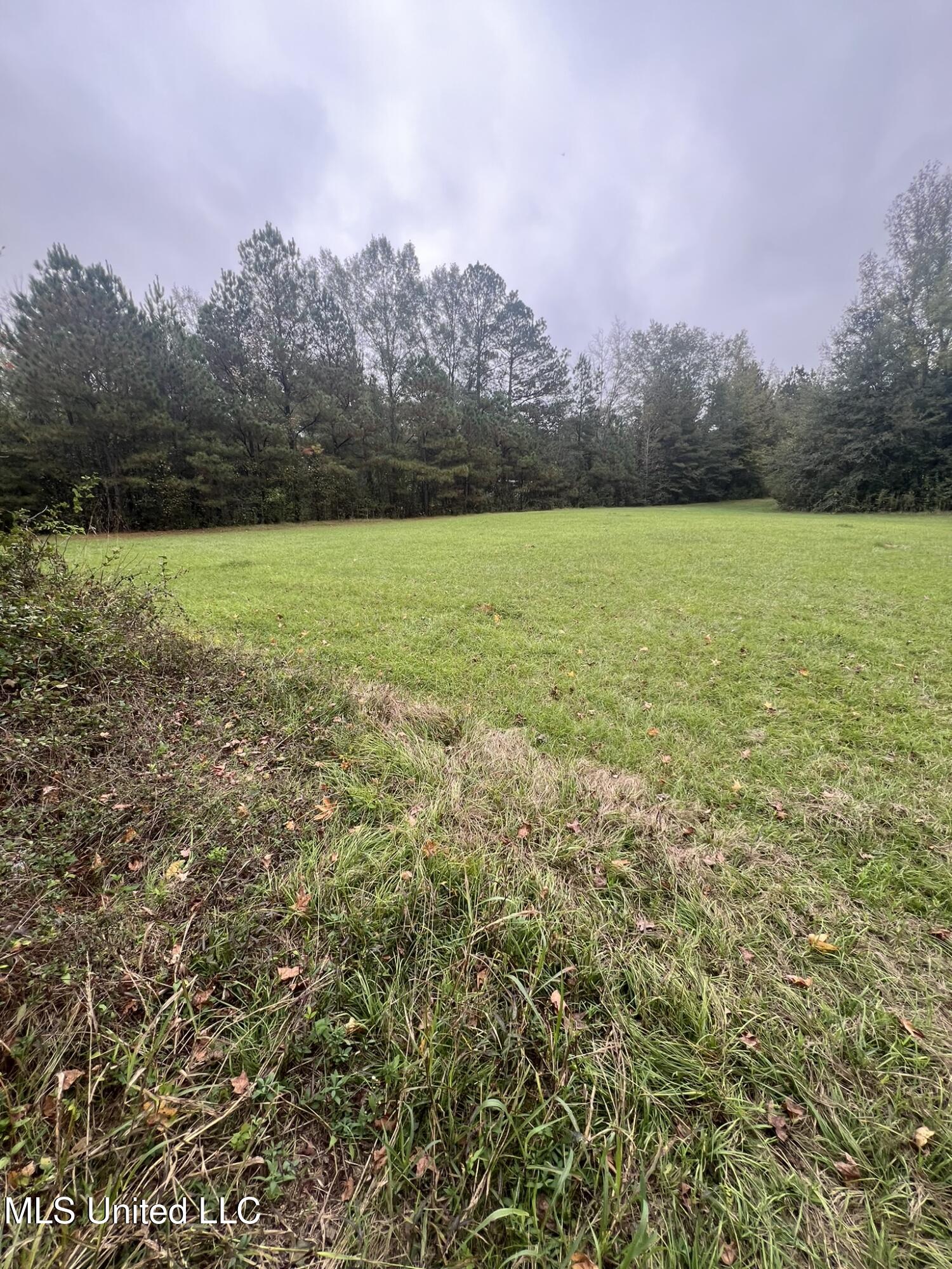 Old Jackson Road Road, Forest, Mississippi image 2