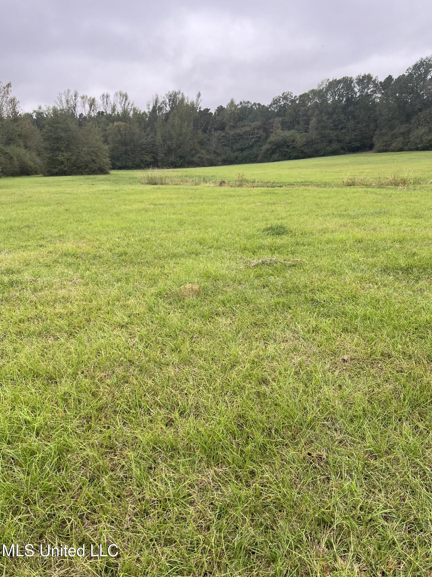 Old Jackson Road Road, Forest, Mississippi image 7