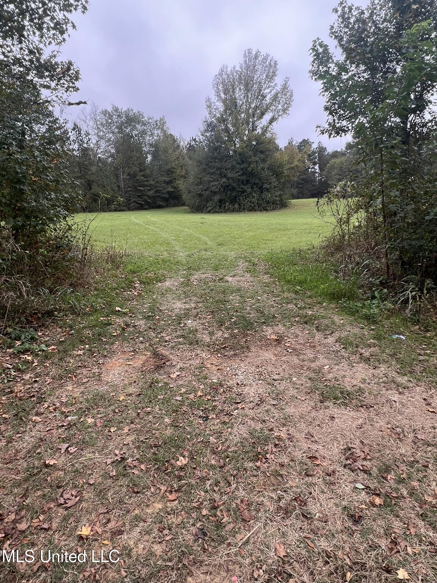 Old Jackson Road Road, Forest, Mississippi image 9