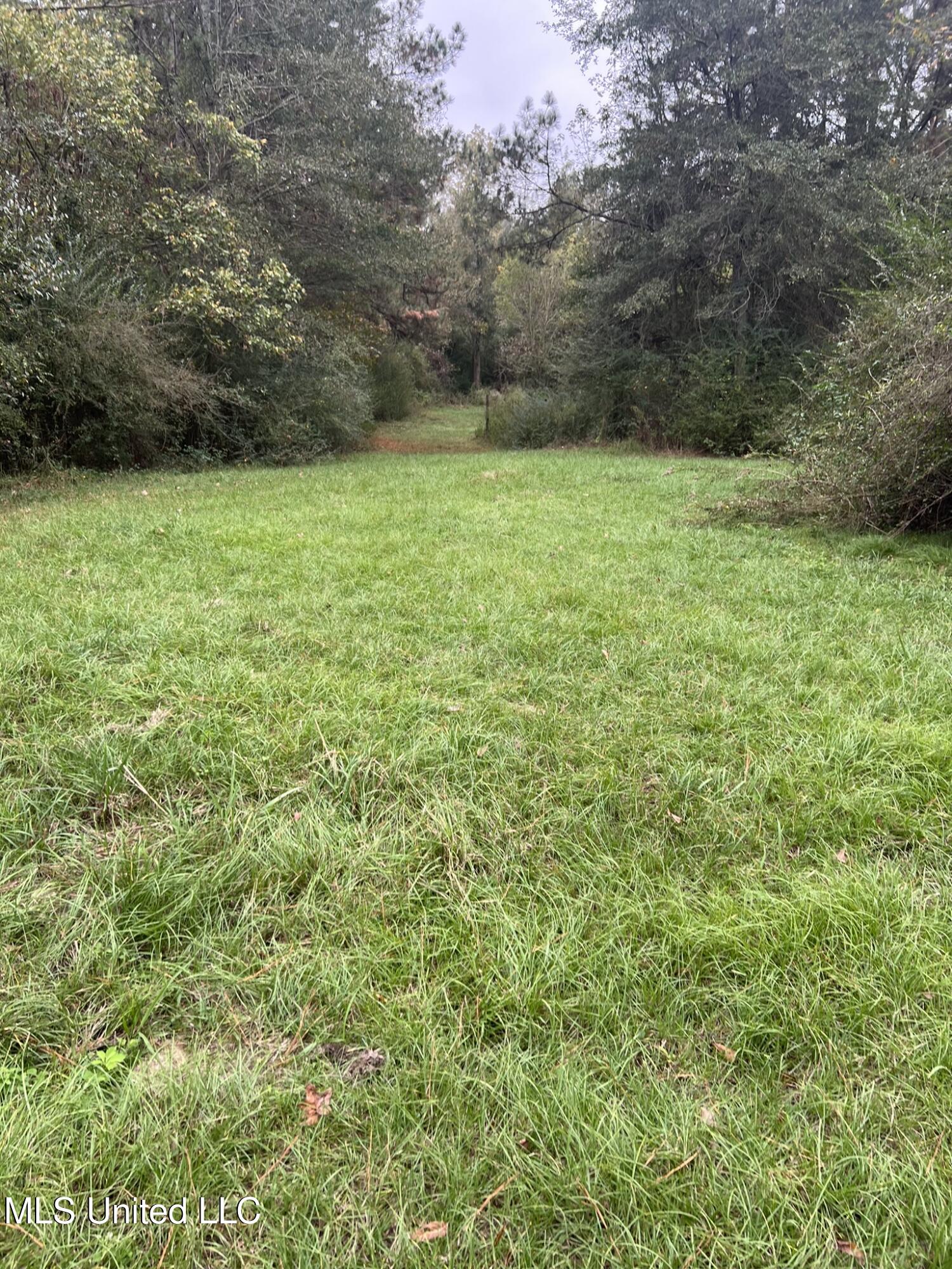 Old Jackson Road Road, Forest, Mississippi image 4