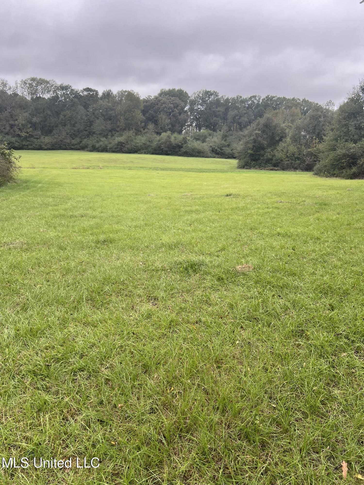 Old Jackson Road Road, Forest, Mississippi image 6