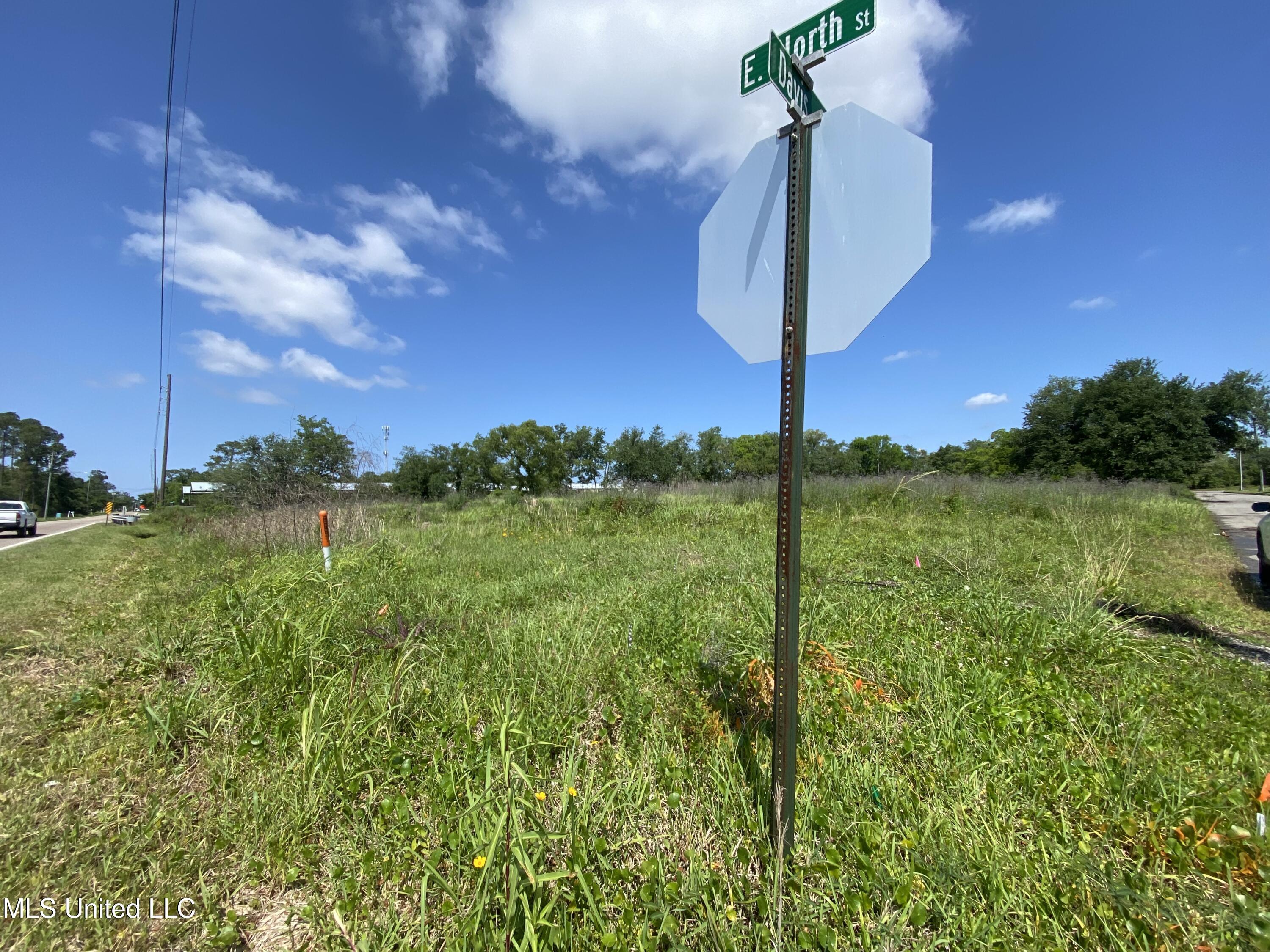 Davis Avenue, Pass Christian, Mississippi image 6