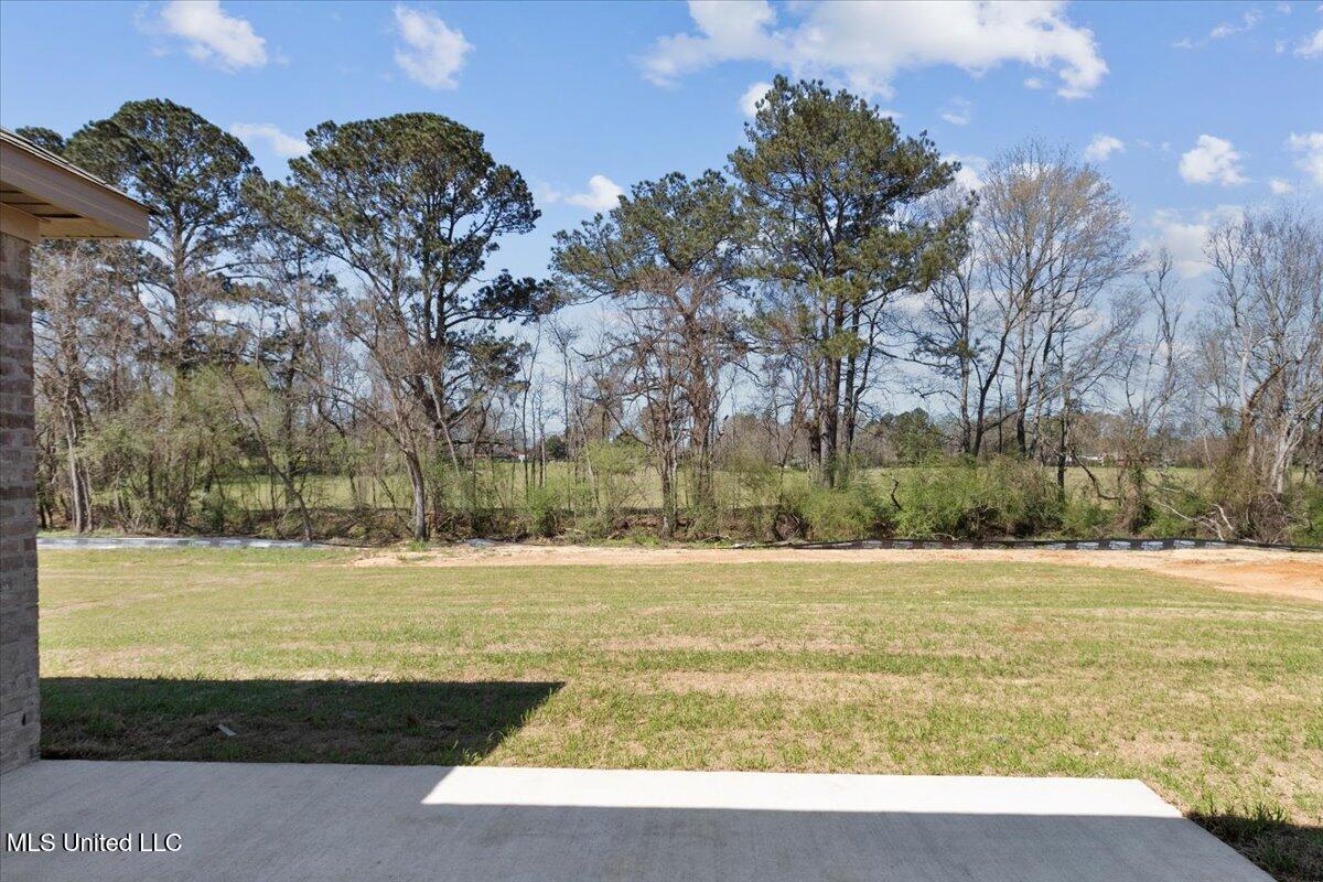 107 NE Adams Avenue, Magee, Mississippi image 32