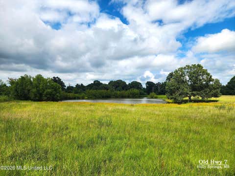 Vacant Land For Sale - Old Hwy 7<br/> Holly Springs, MS 38635
