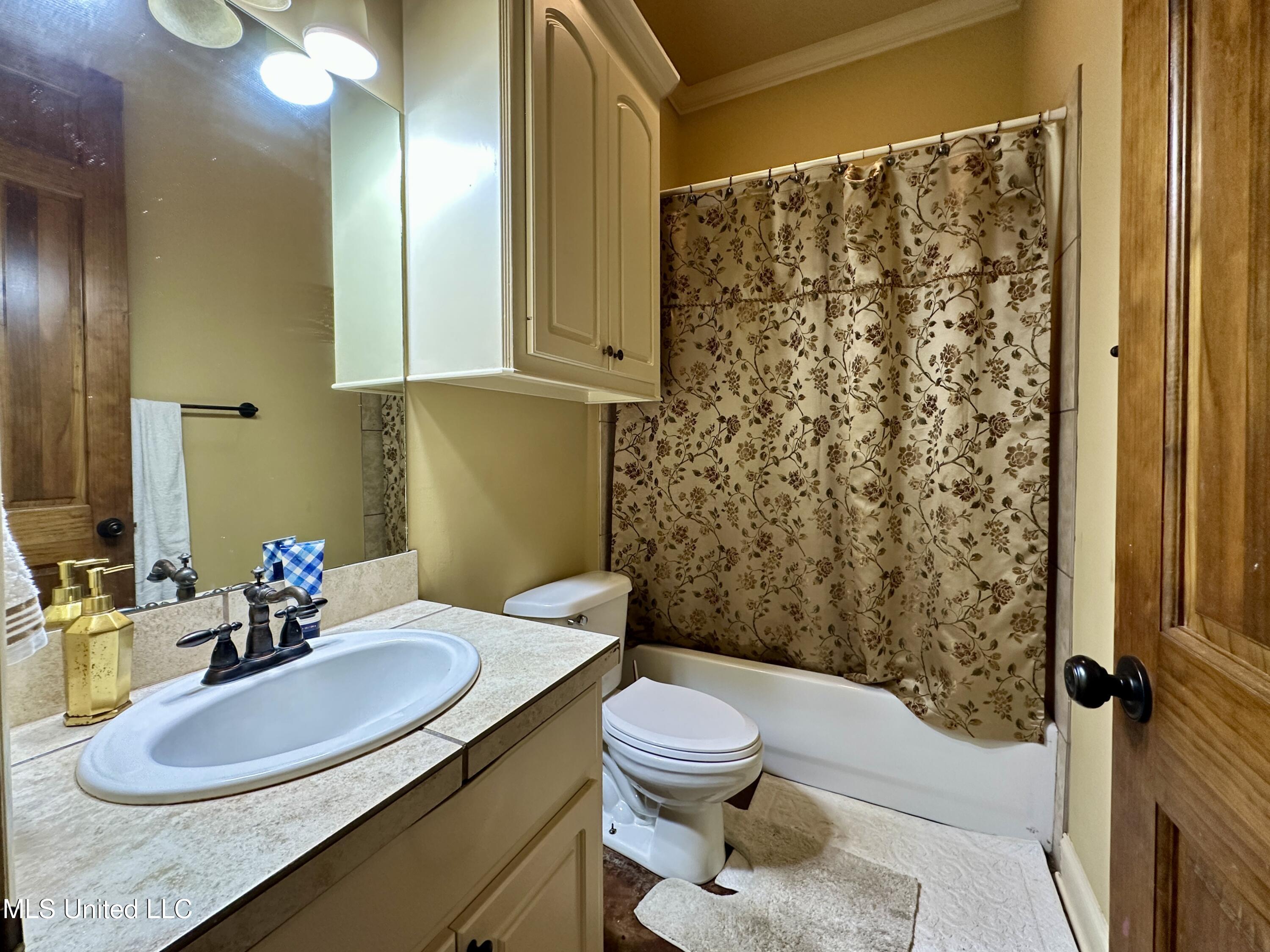 109 Brisage Drive, Madison, Mississippi image 40