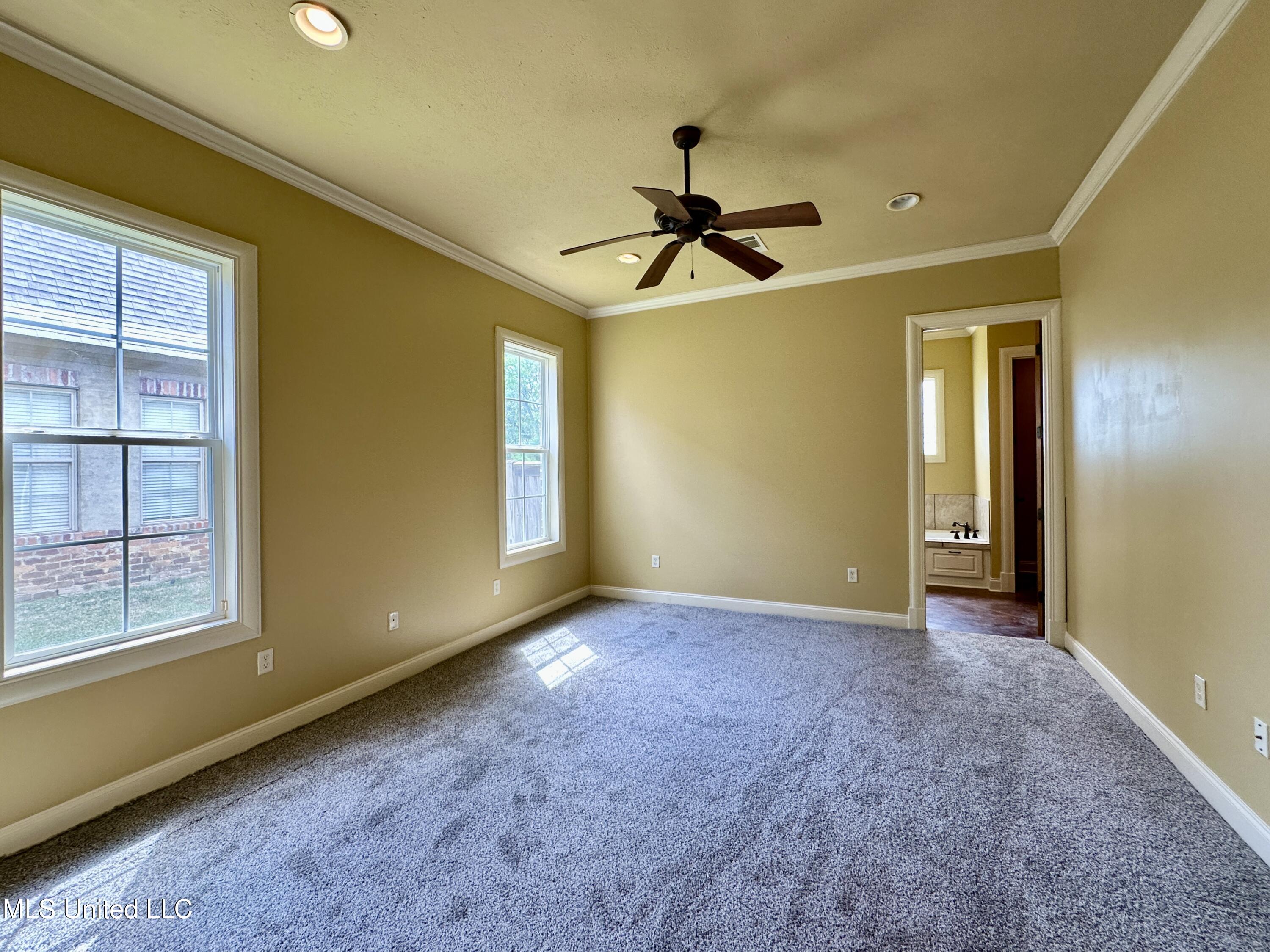 109 Brisage Drive, Madison, Mississippi image 45