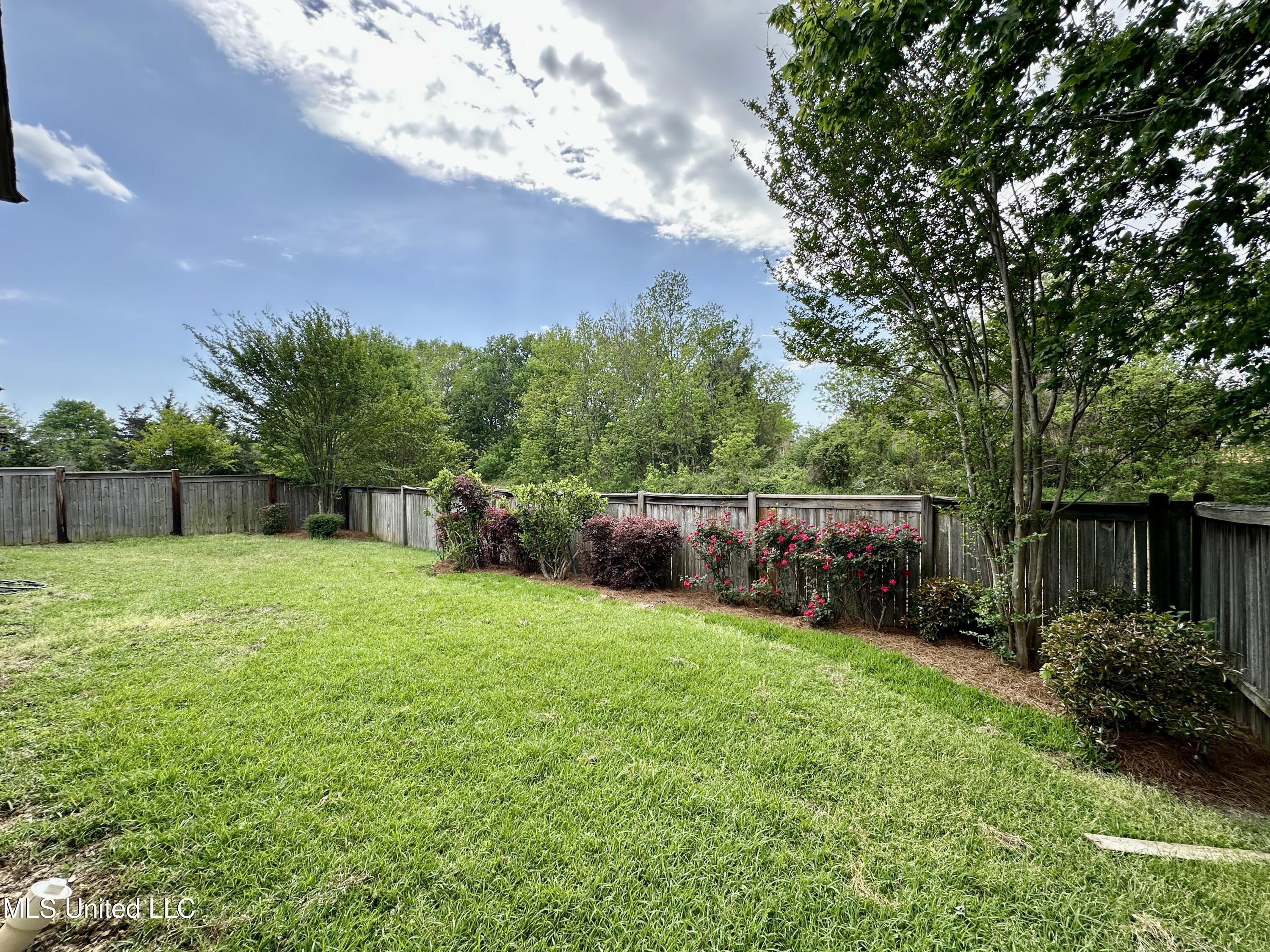 109 Brisage Drive, Madison, Mississippi image 50