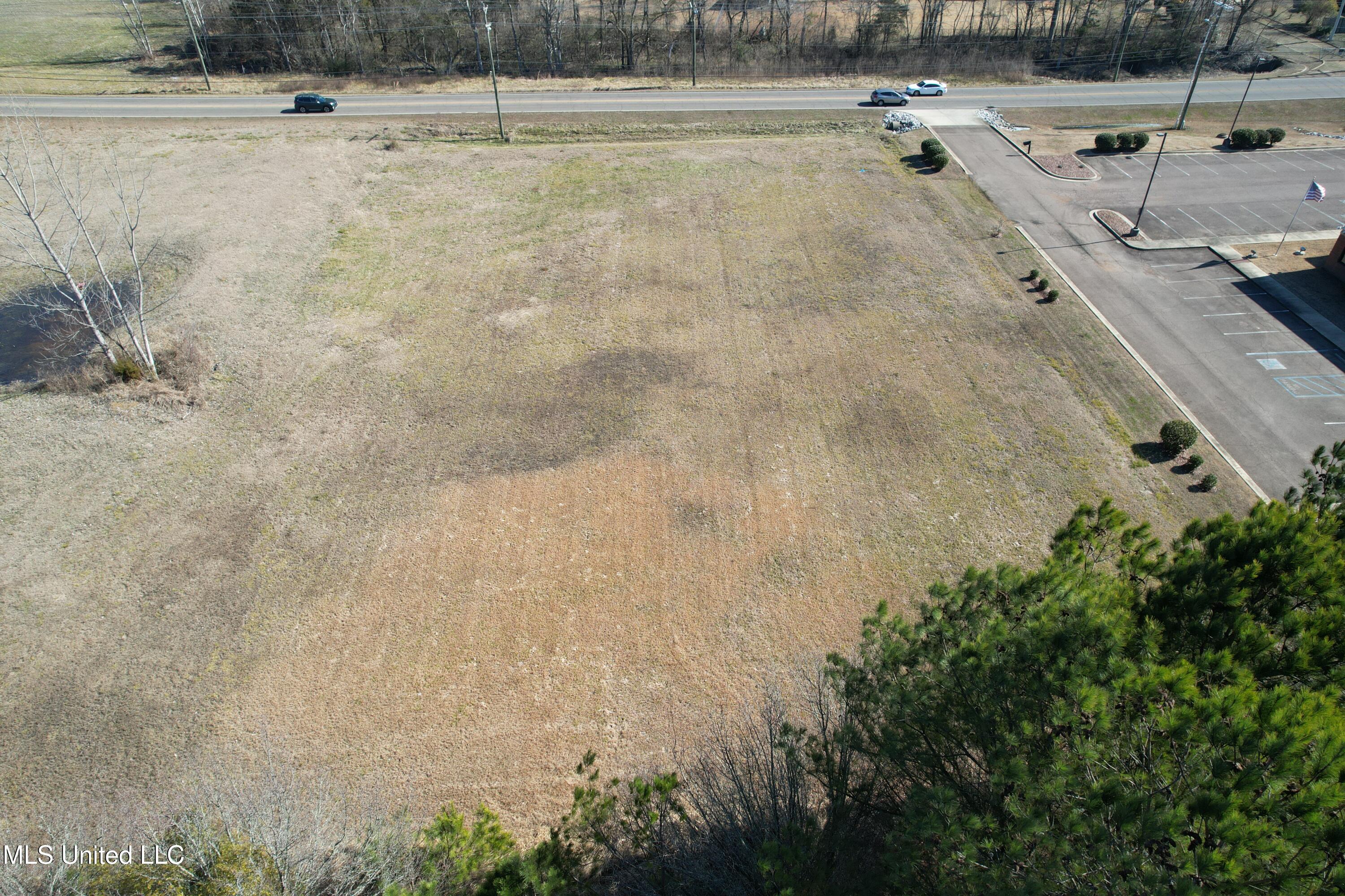 Stark Road, Starkville, Mississippi image 3