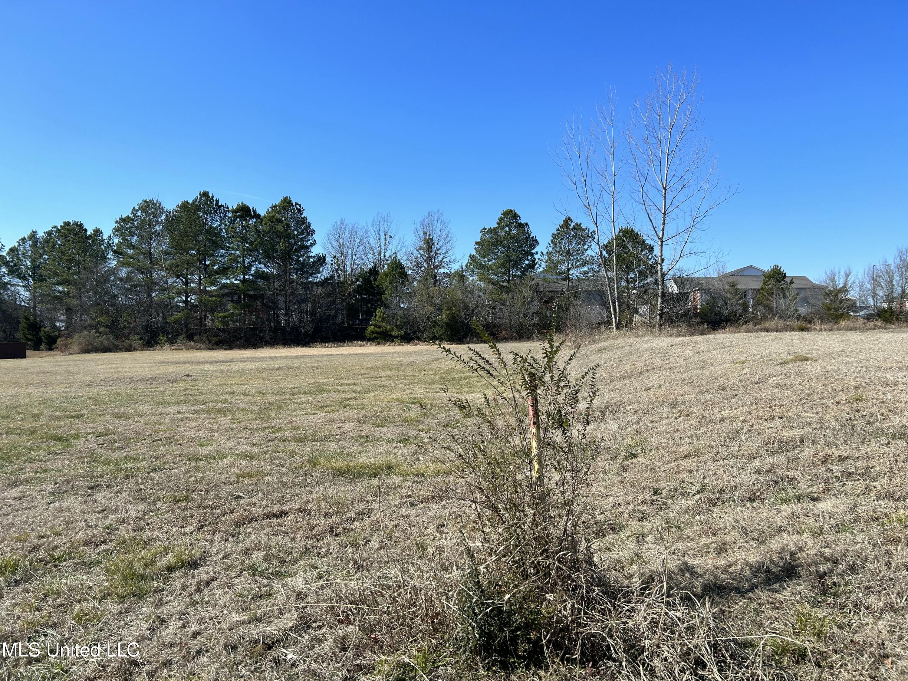 Stark Road, Starkville, Mississippi image 7