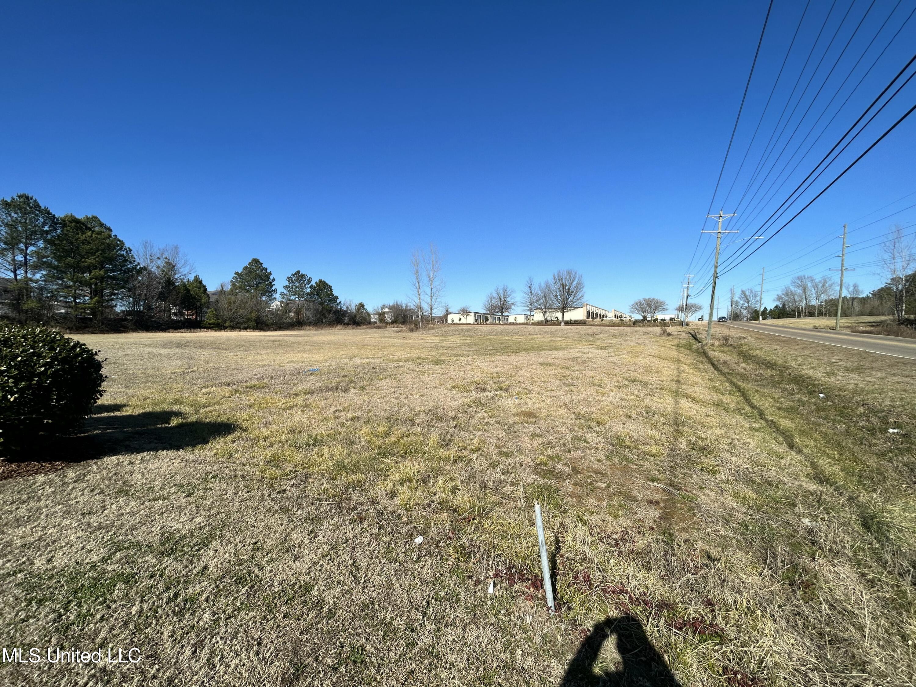 Stark Road, Starkville, Mississippi image 5