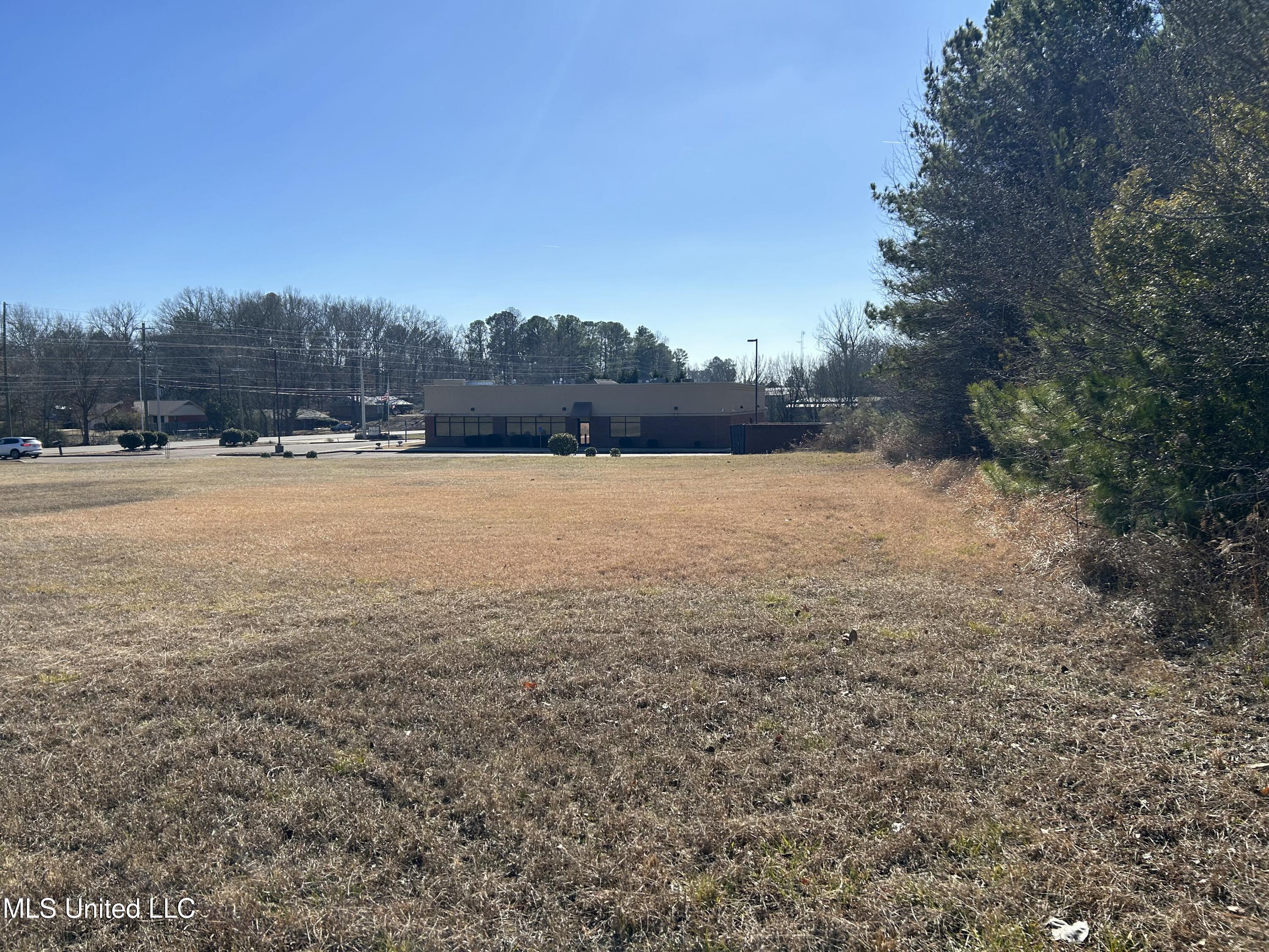 Stark Road, Starkville, Mississippi image 8