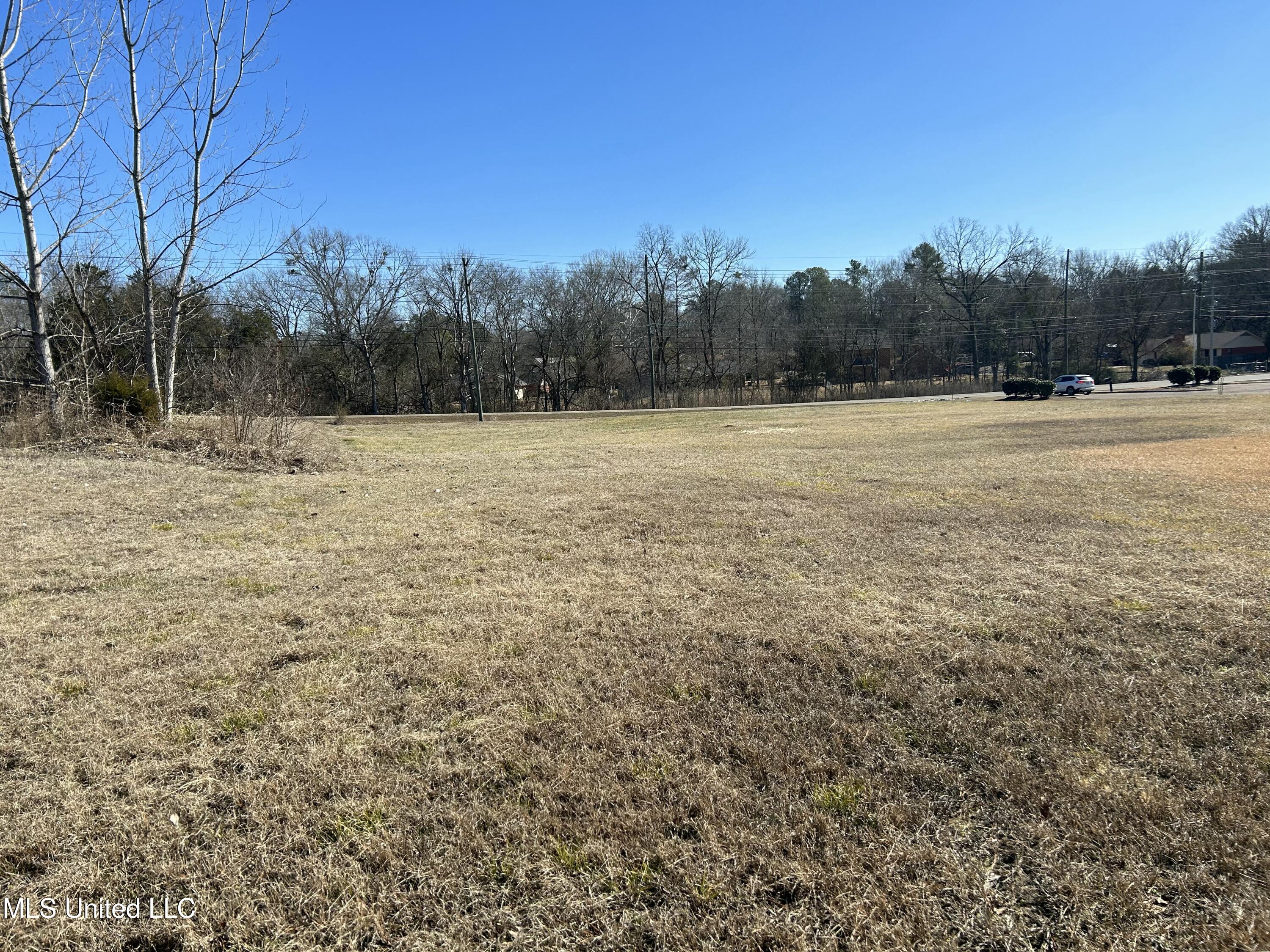 Stark Road, Starkville, Mississippi image 9