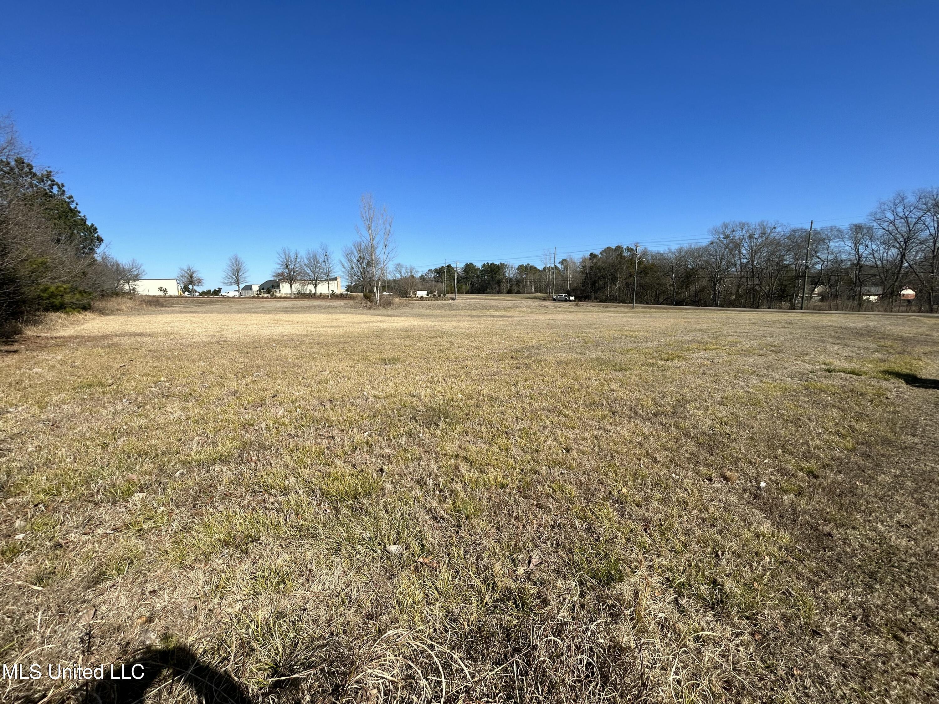 Stark Road, Starkville, Mississippi image 6