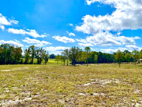 Vacant Land For Sale - Mcneil Henleyfield Road<br/> Carriere, MS 39426