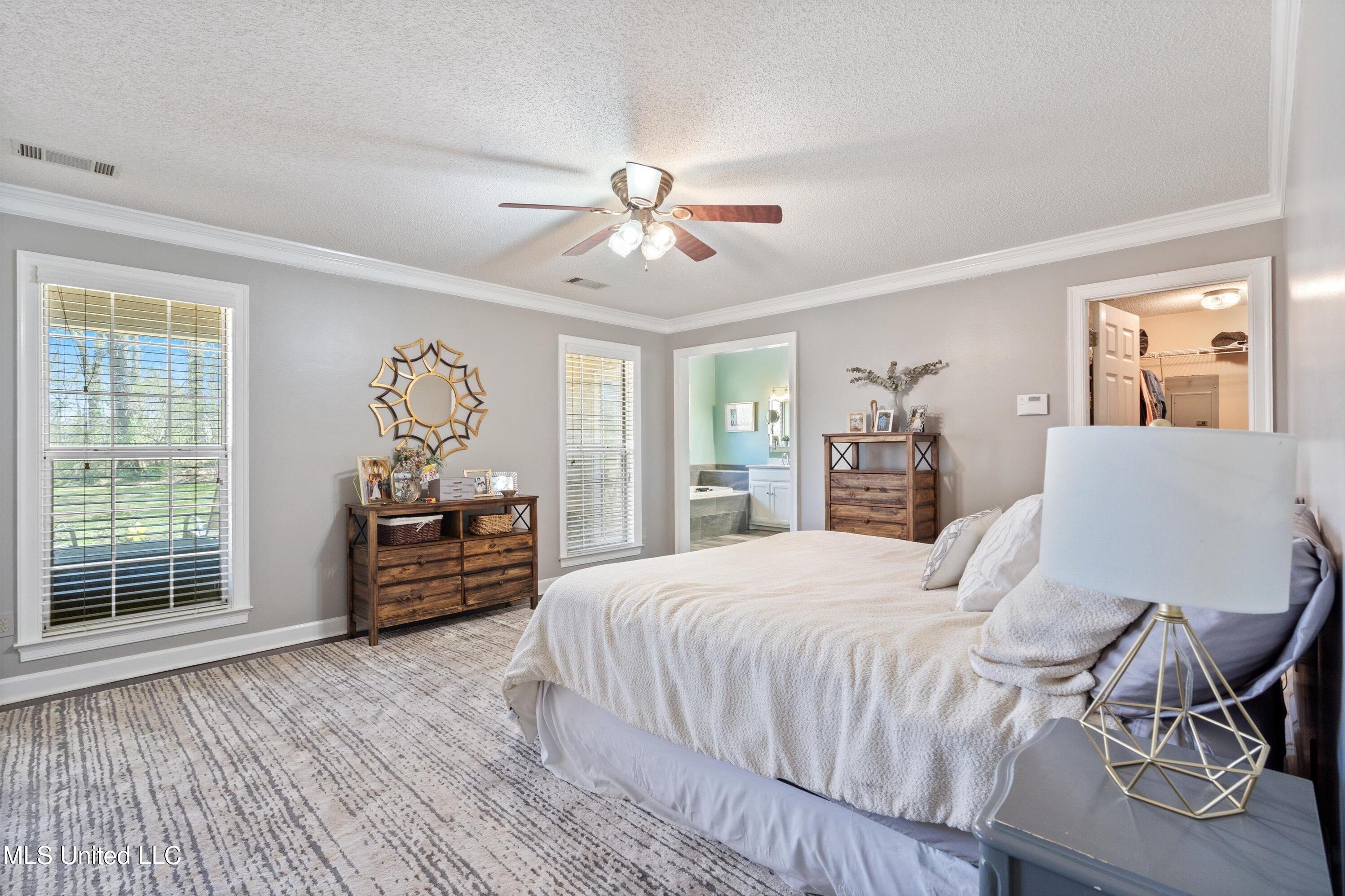 6376 Nellwood Drive, Olive Branch, Mississippi image 13
