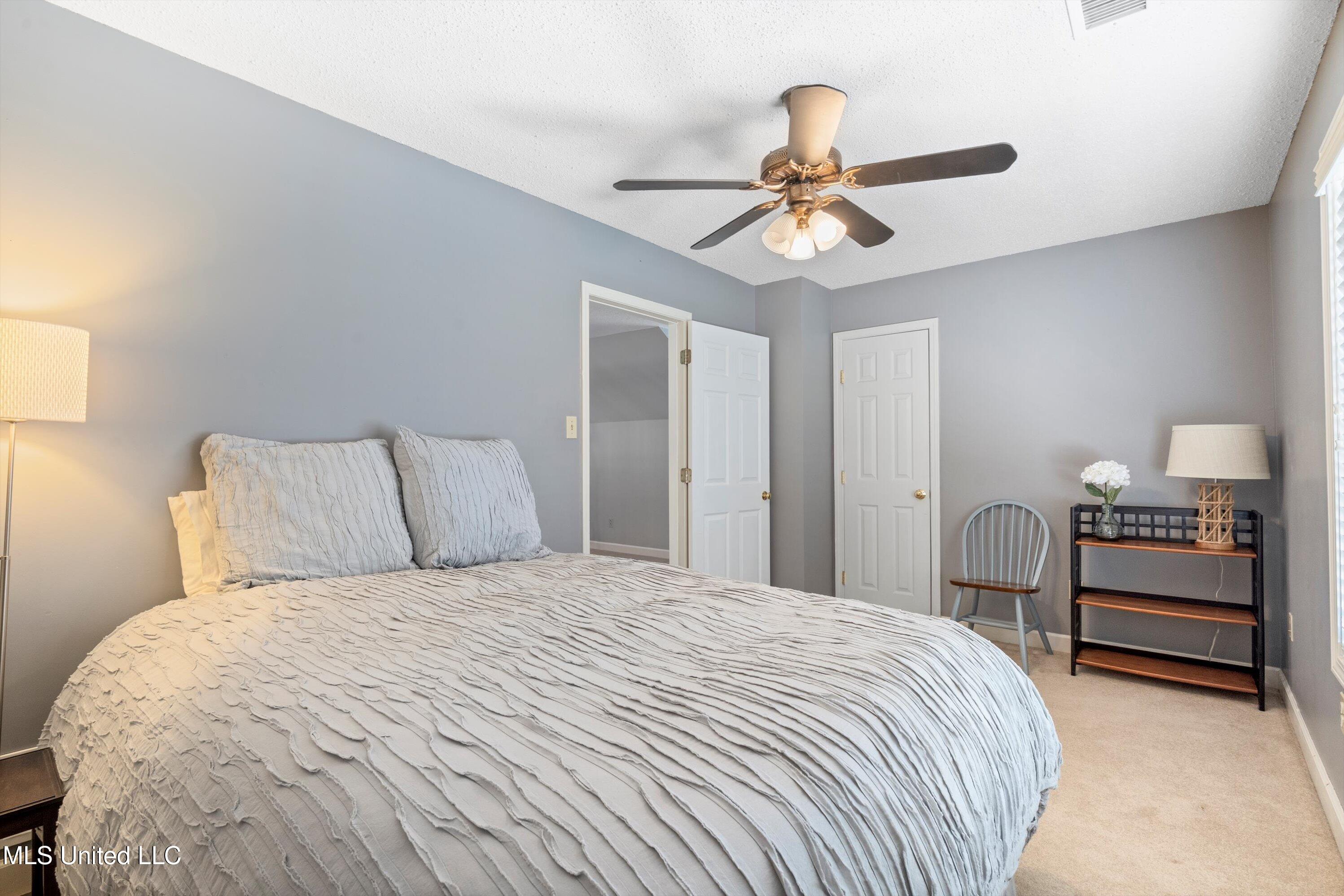 6376 Nellwood Drive, Olive Branch, Mississippi image 28