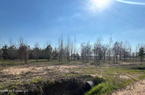 Vacant Land For Sale - 511 County Road 186<br/> Carroll County, Greenwood, MS 38930