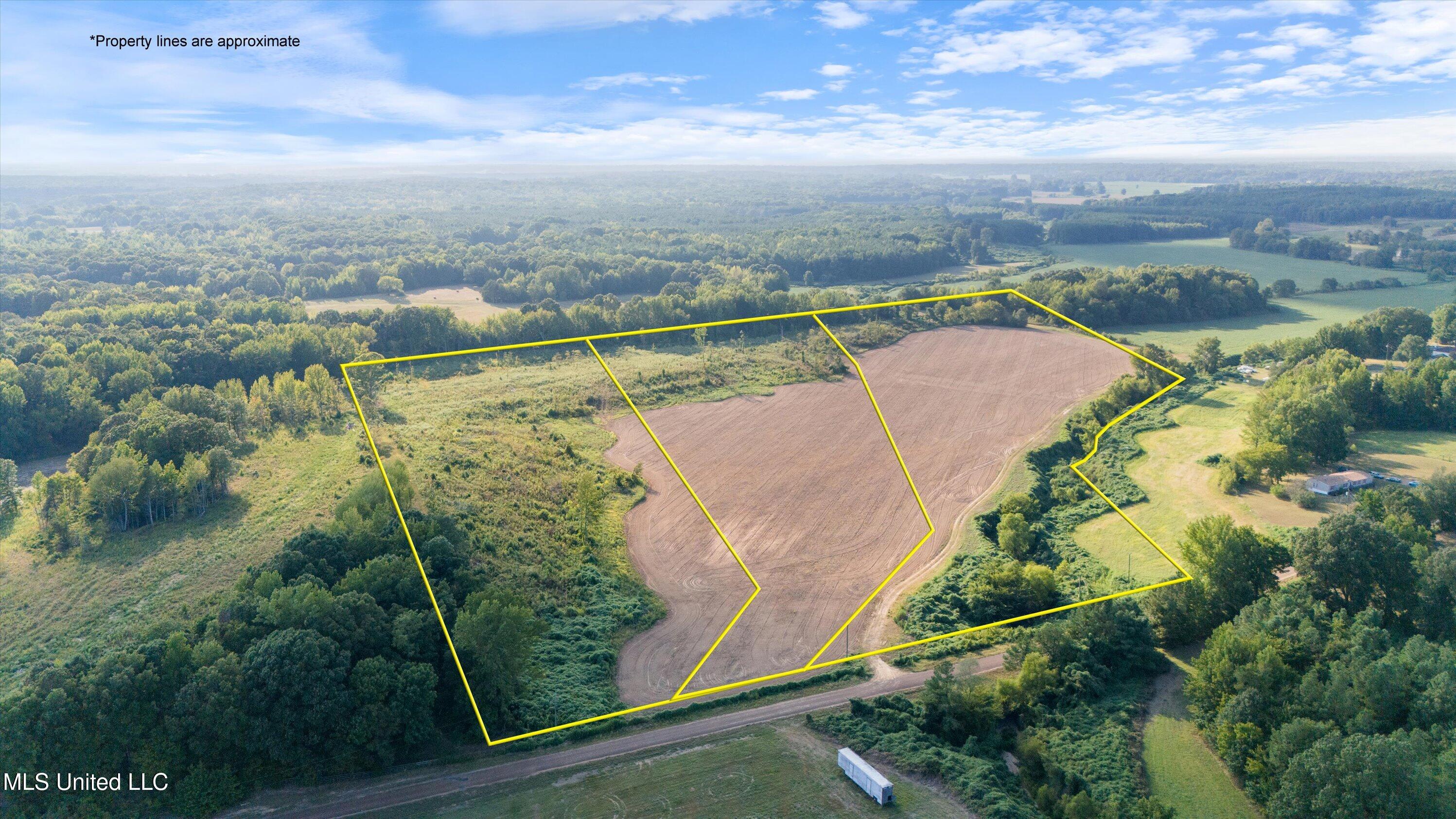 10.15 Ac Pearl Smith Road, Senatobia, Mississippi image 2