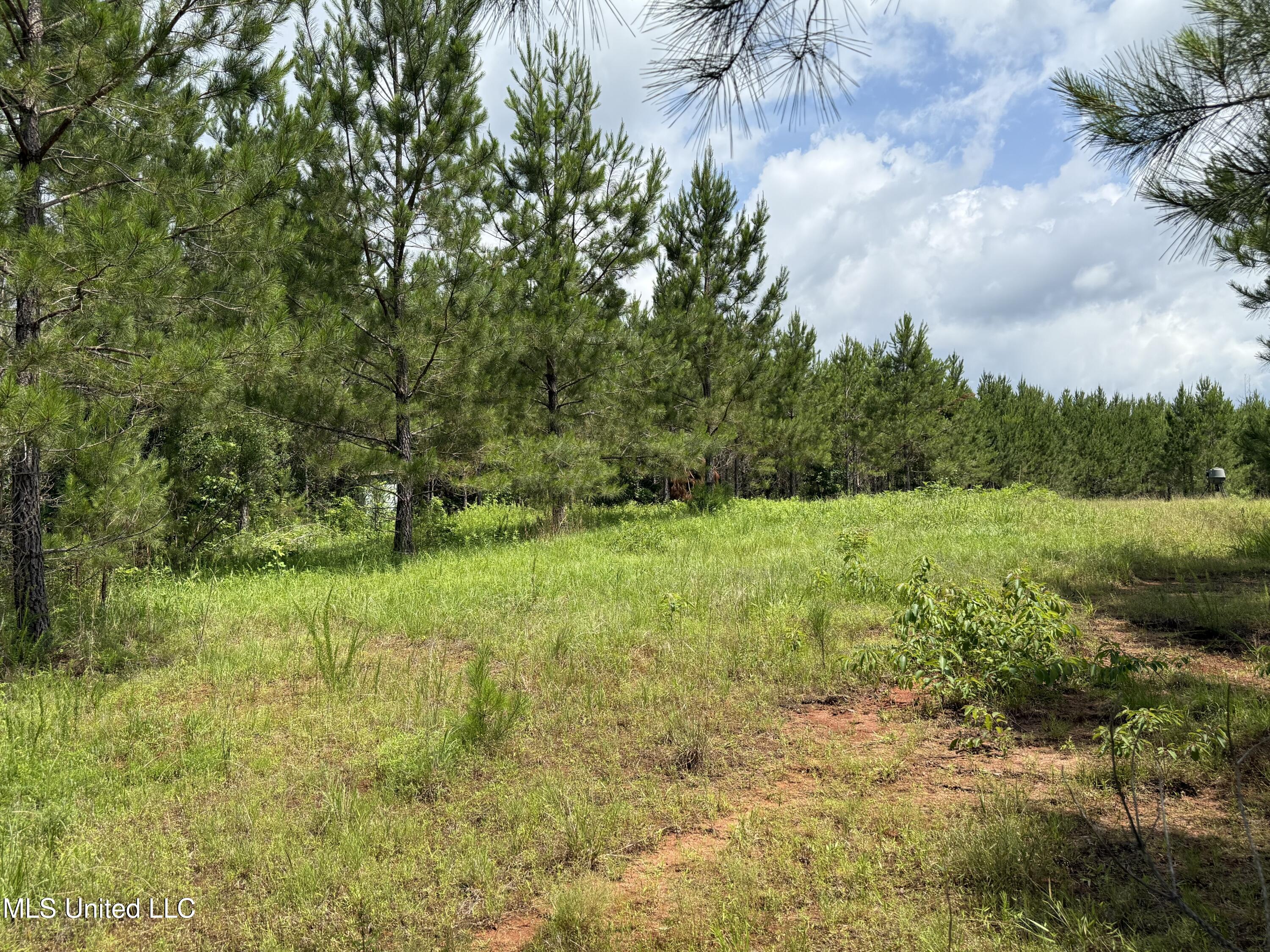 Mcneil Road Road, Little Rock, Mississippi image 7