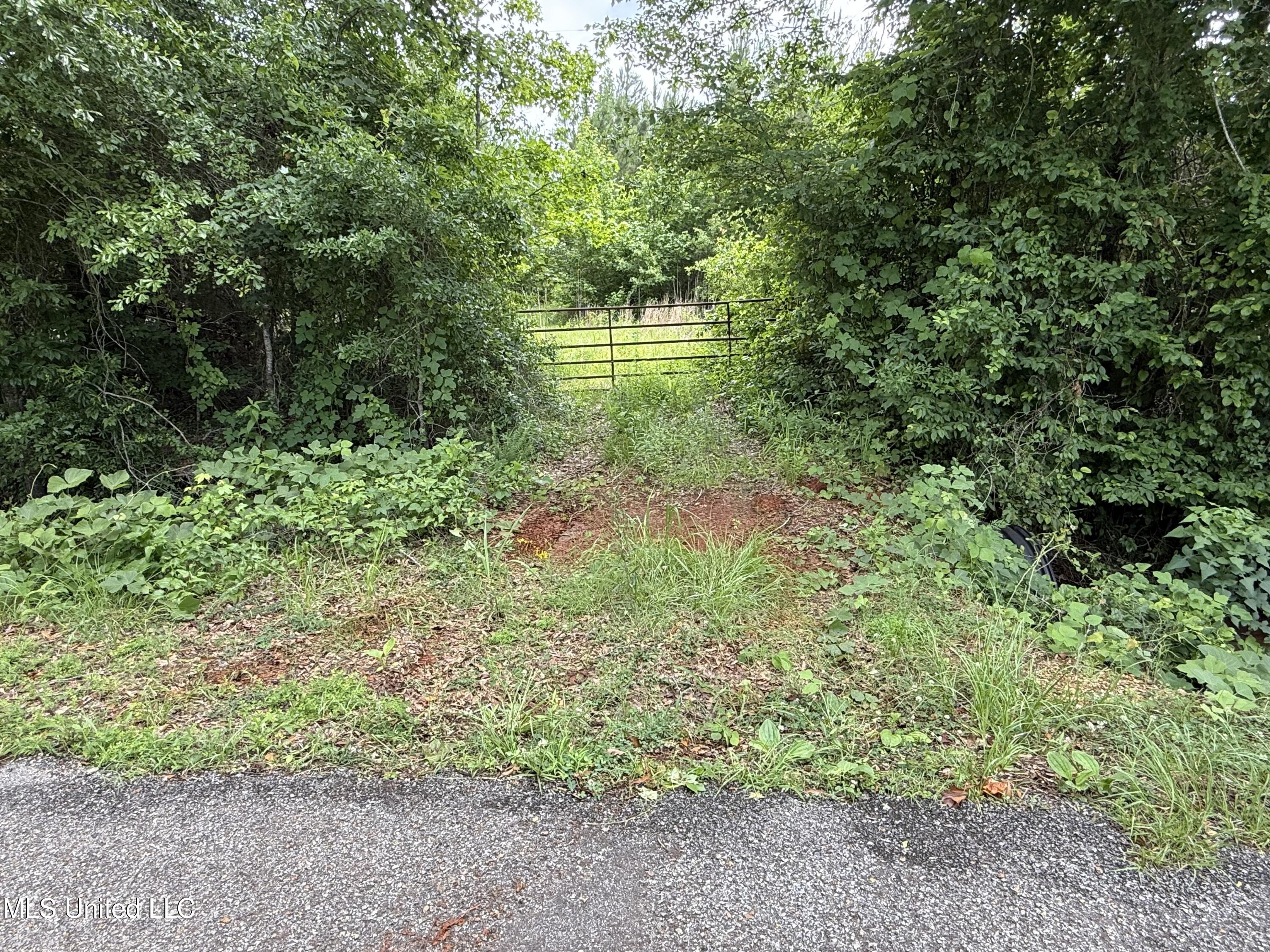 Mcneil Road Road, Little Rock, Mississippi image 1