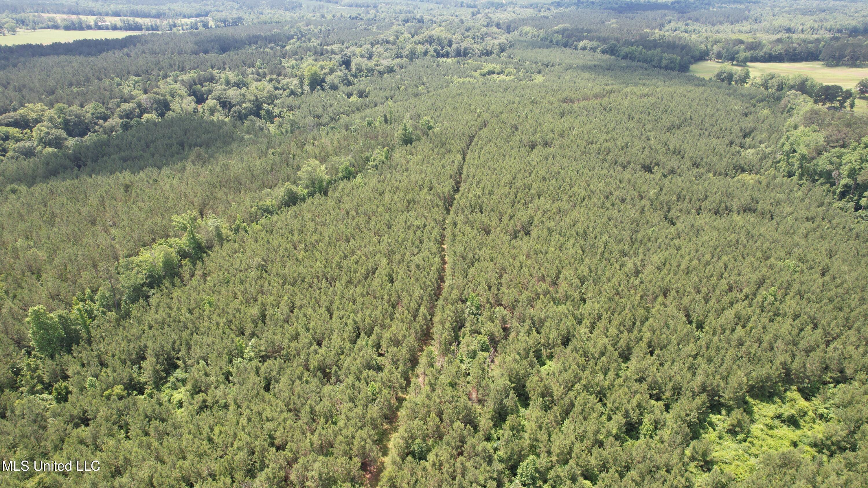 Mcneil Road Road, Little Rock, Mississippi image 21