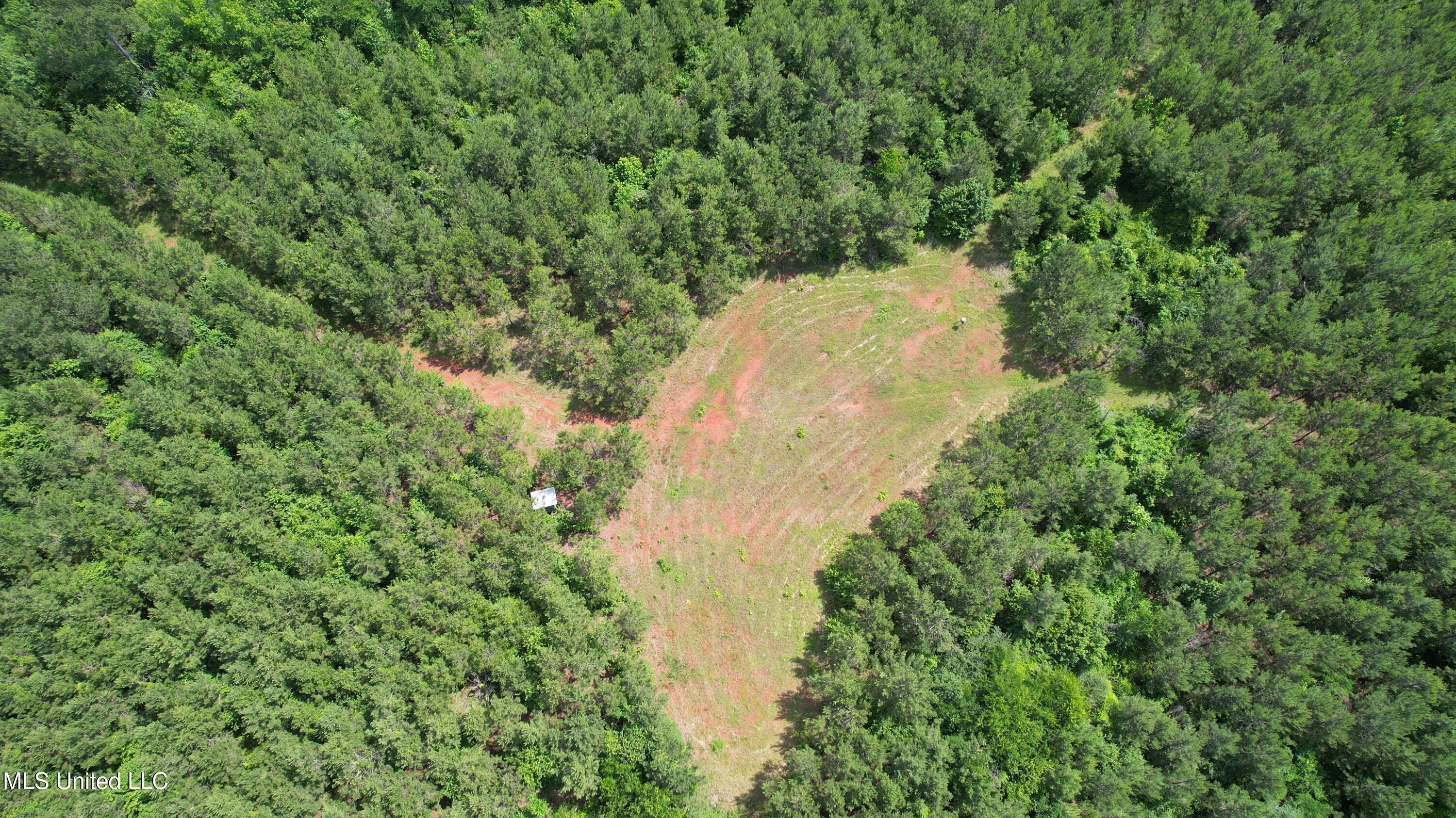 Mcneil Road Road, Little Rock, Mississippi image 19