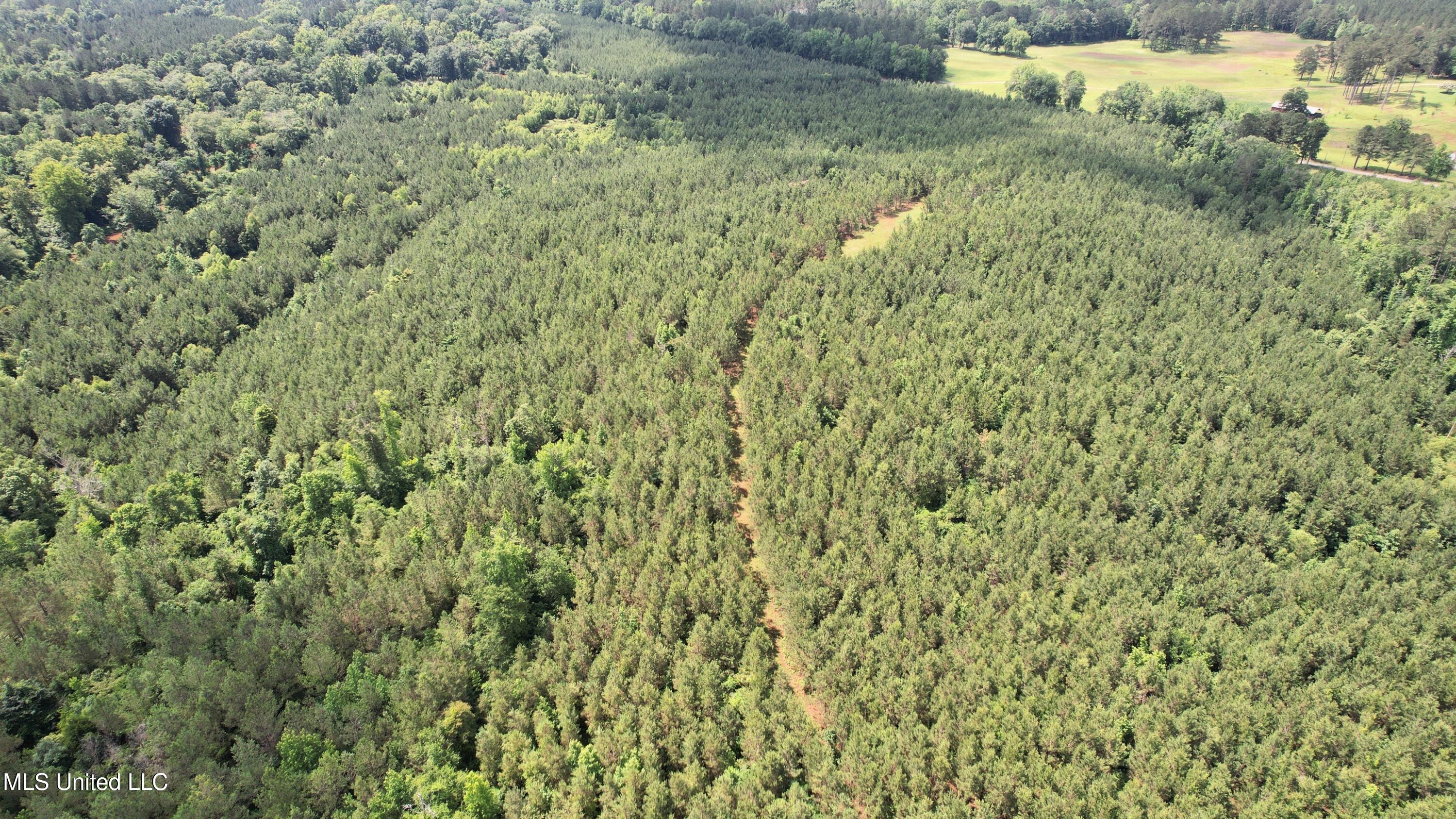 Mcneil Road Road, Little Rock, Mississippi image 22