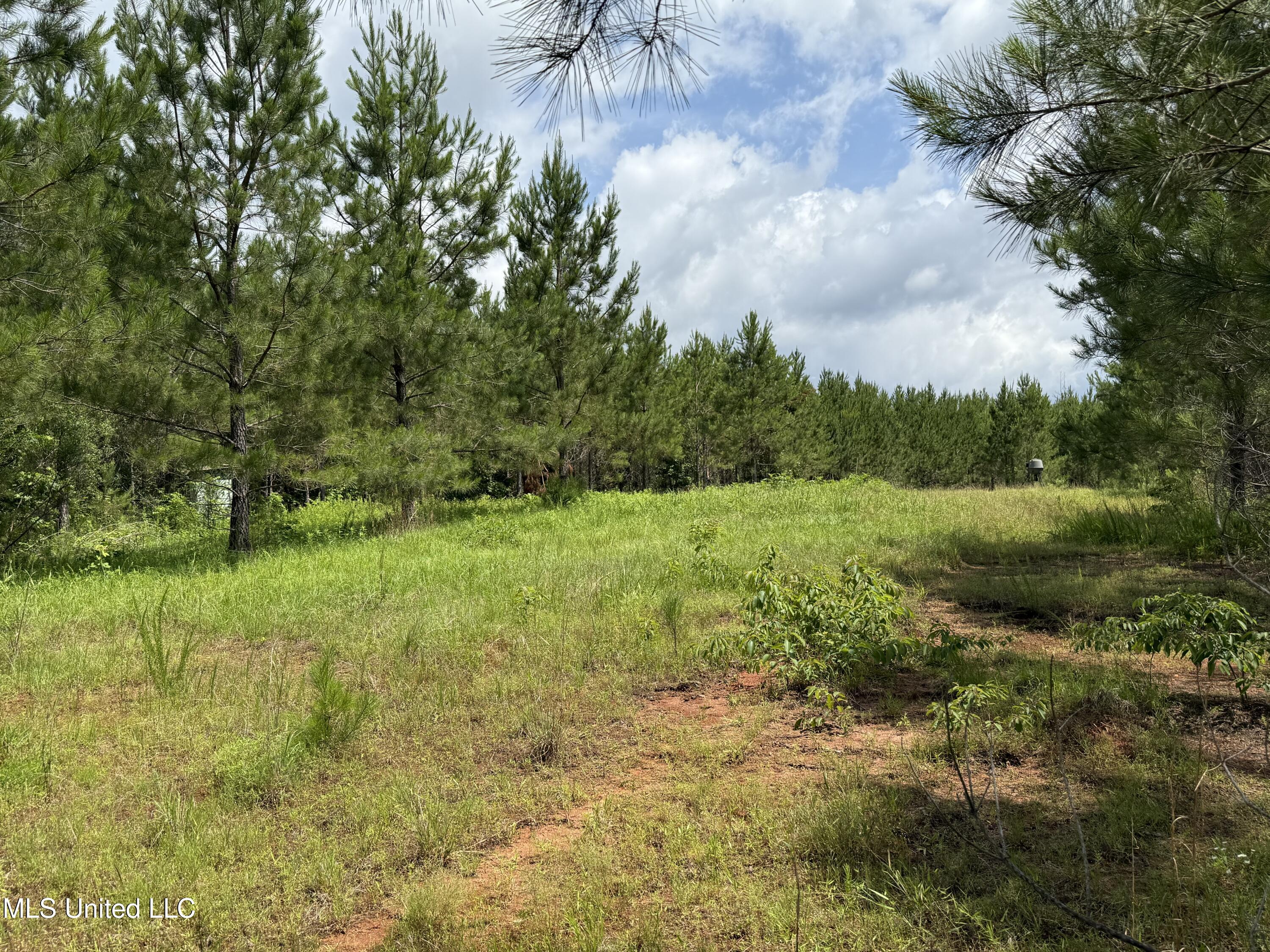 Mcneil Road Road, Little Rock, Mississippi image 8