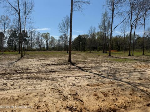 Vacant Land For Sale - LOT 10 Oakley Lane<br/> Lucedale, MS 39452