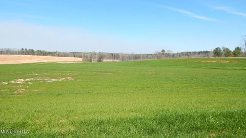 Vacant Land For Sale - 6 Graysport Crossing Road<br/> Gore Springs, MS 38929