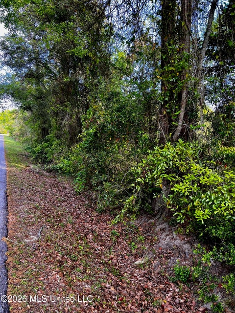 Vacant Land For Sale - Pine Ridge Drive<br/> Waveland, MS 39576
