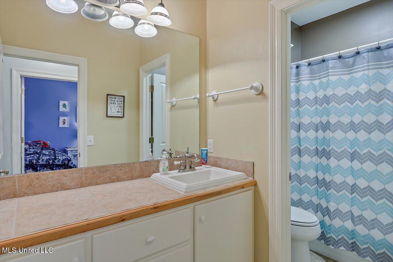 355 Louise Lane, Brandon, Mississippi image 28