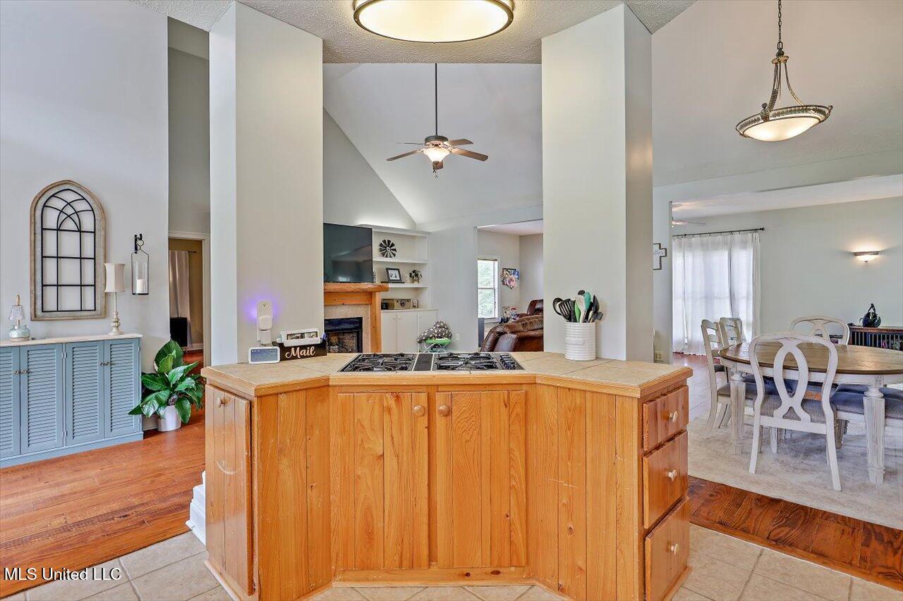355 Louise Lane, Brandon, Mississippi image 11