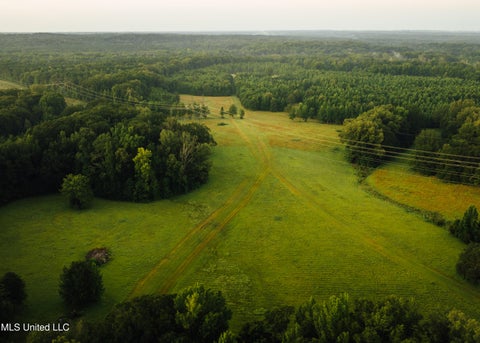 Vacant Land For Sale - Clinton Raymond Road<br/> Clinton, MS 39056