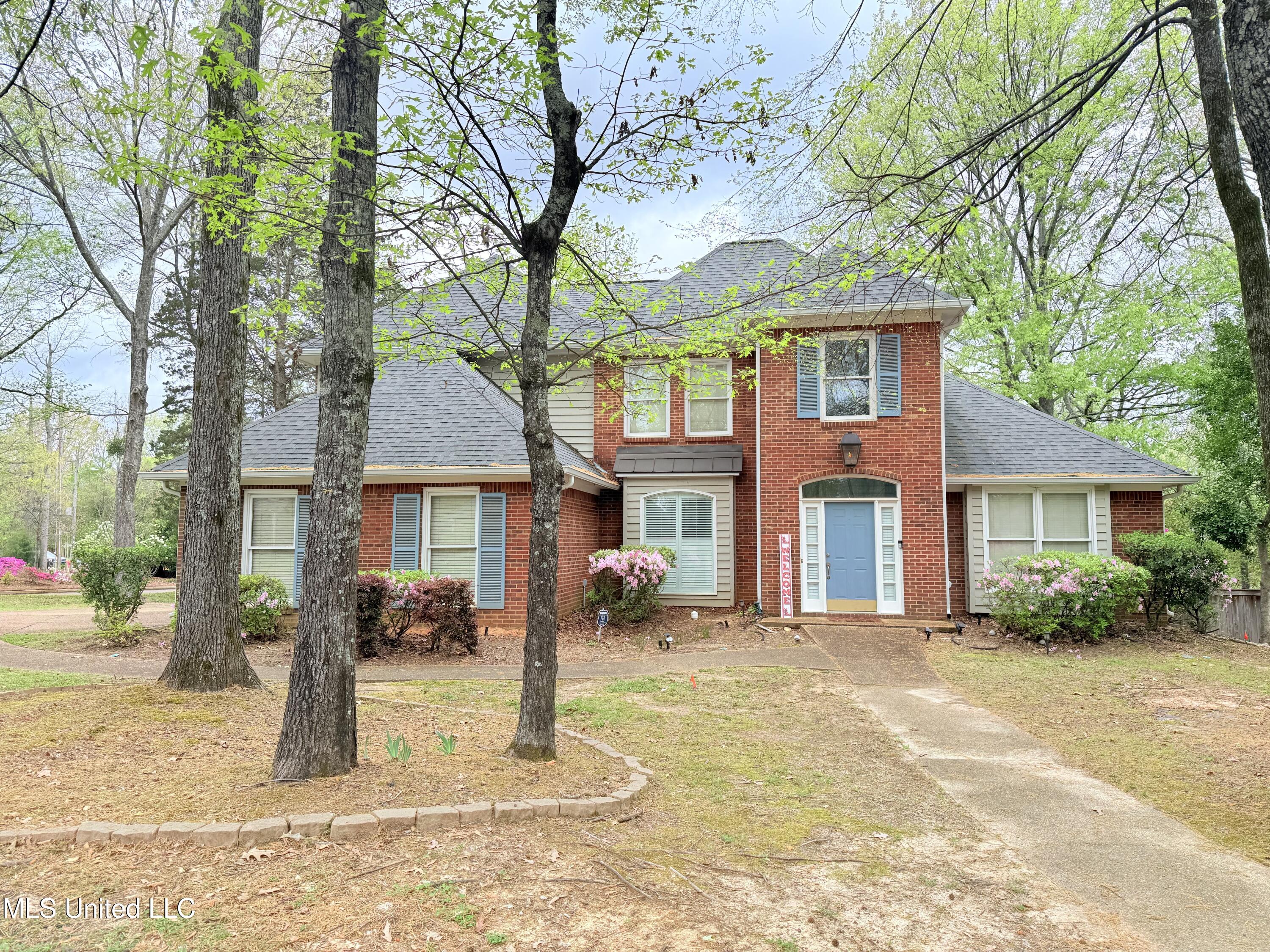 101 Rosebriar Common Cmn, Madison, Mississippi image 1