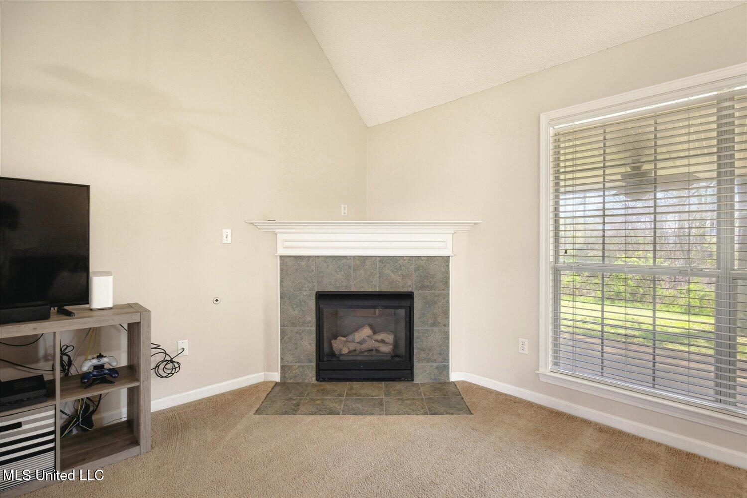 8850 Travis Drive, Olive Branch, Mississippi image 9