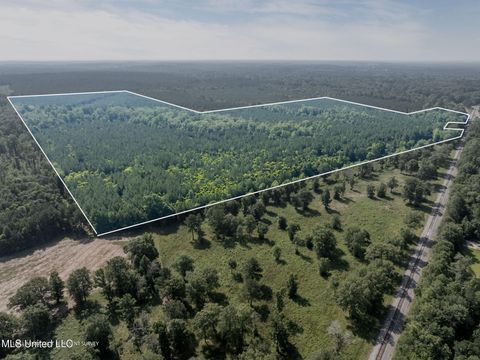 Vacant Land For Sale - 121 Acres Old Highway 49<br/> Covington County, Seminary, MS 39479