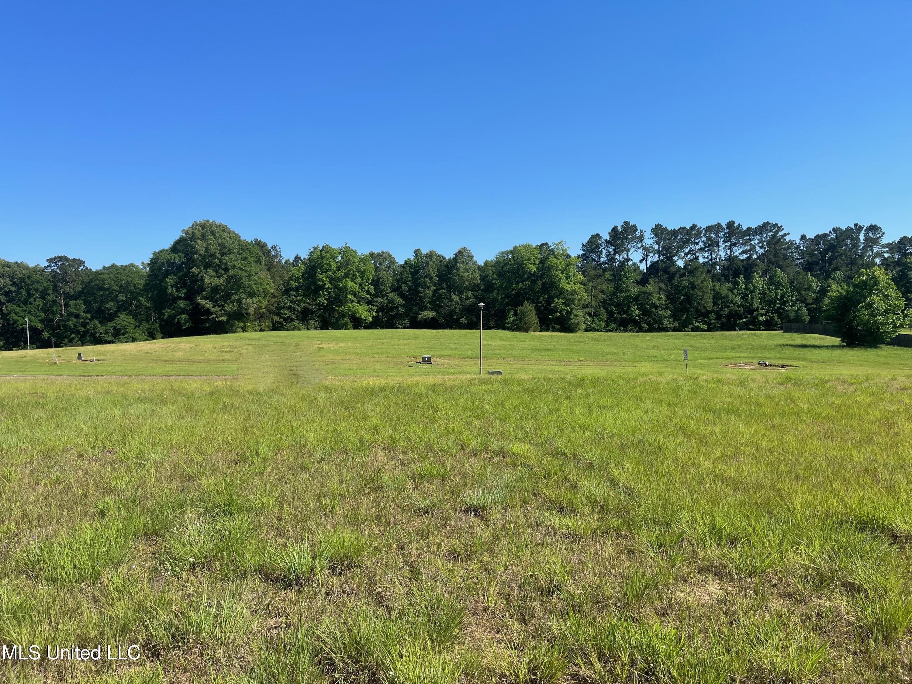 Lot 50 Molly Lea Street, Natchez, Mississippi image 5