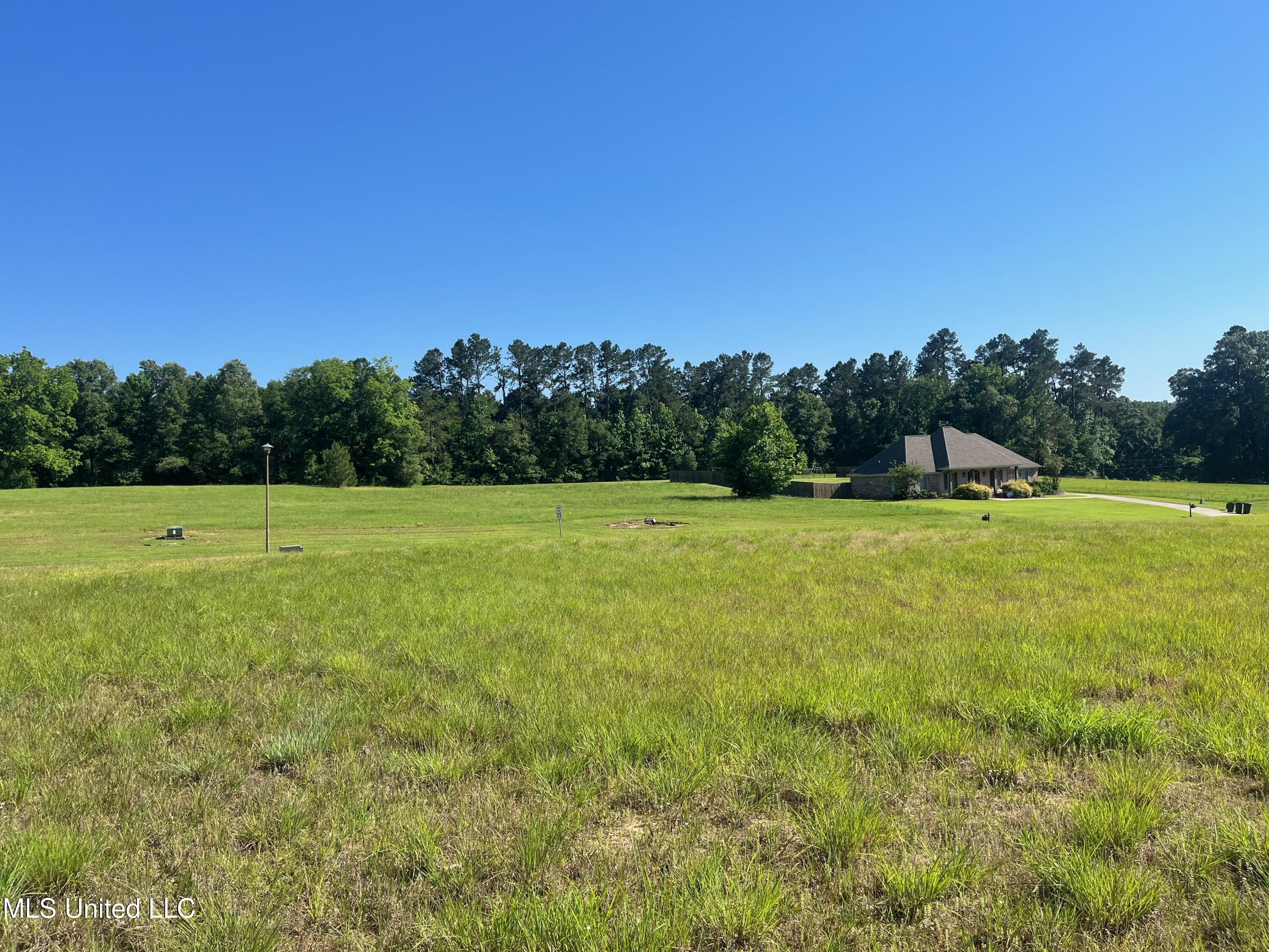 Lot 50 Molly Lea Street, Natchez, Mississippi image 4