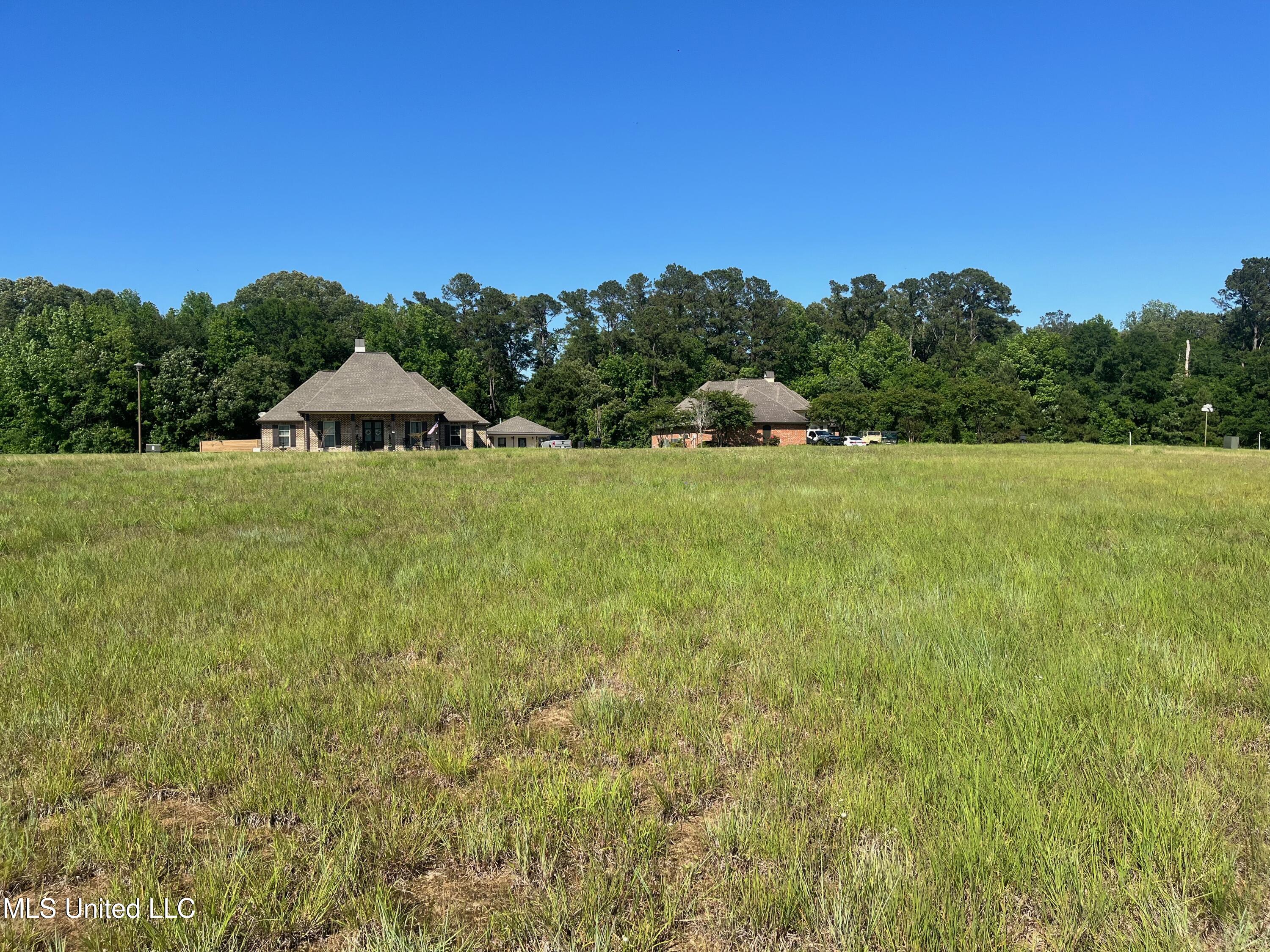 Lot 50 Molly Lea Street, Natchez, Mississippi image 3