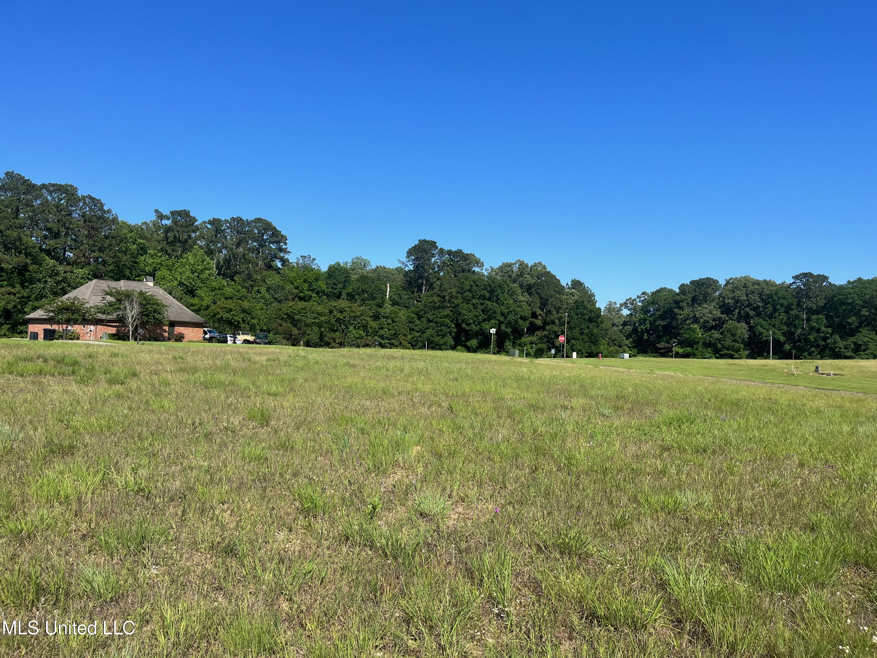 Lot 50 Molly Lea Street, Natchez, Mississippi image 6