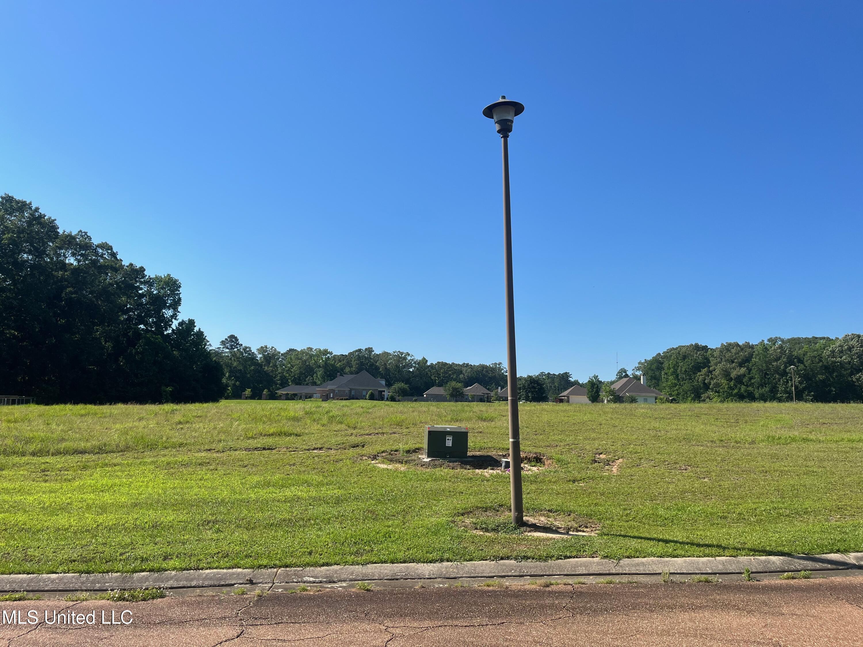 Lot 50 Molly Lea Street, Natchez, Mississippi image 1