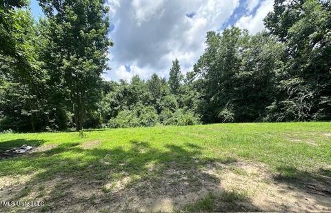 Vacant Land For Sale - Old Hwy 49<br/> Saucier, MS 39574