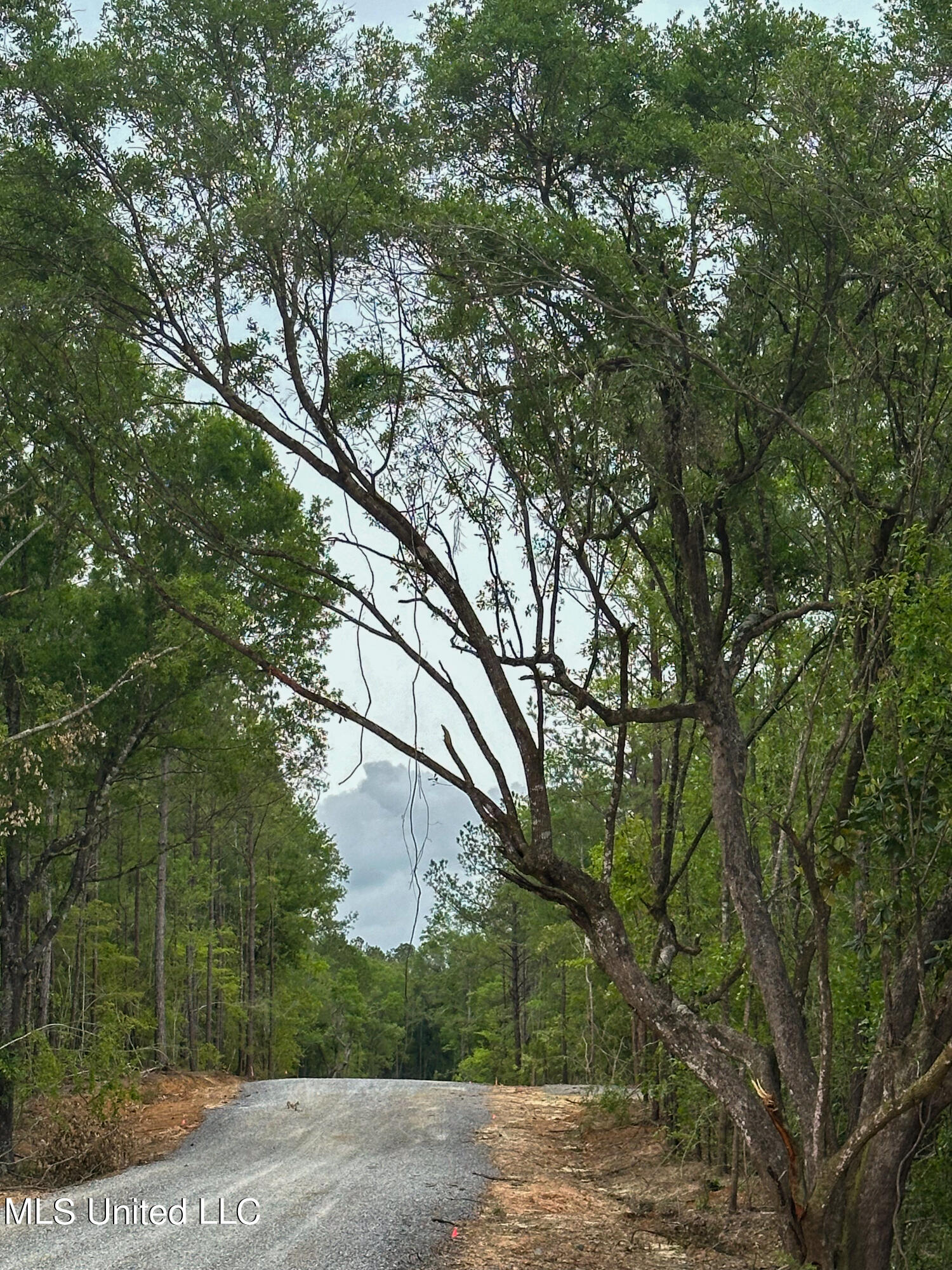 18350 Lazy Oaks Trail, Kiln, Mississippi image 9